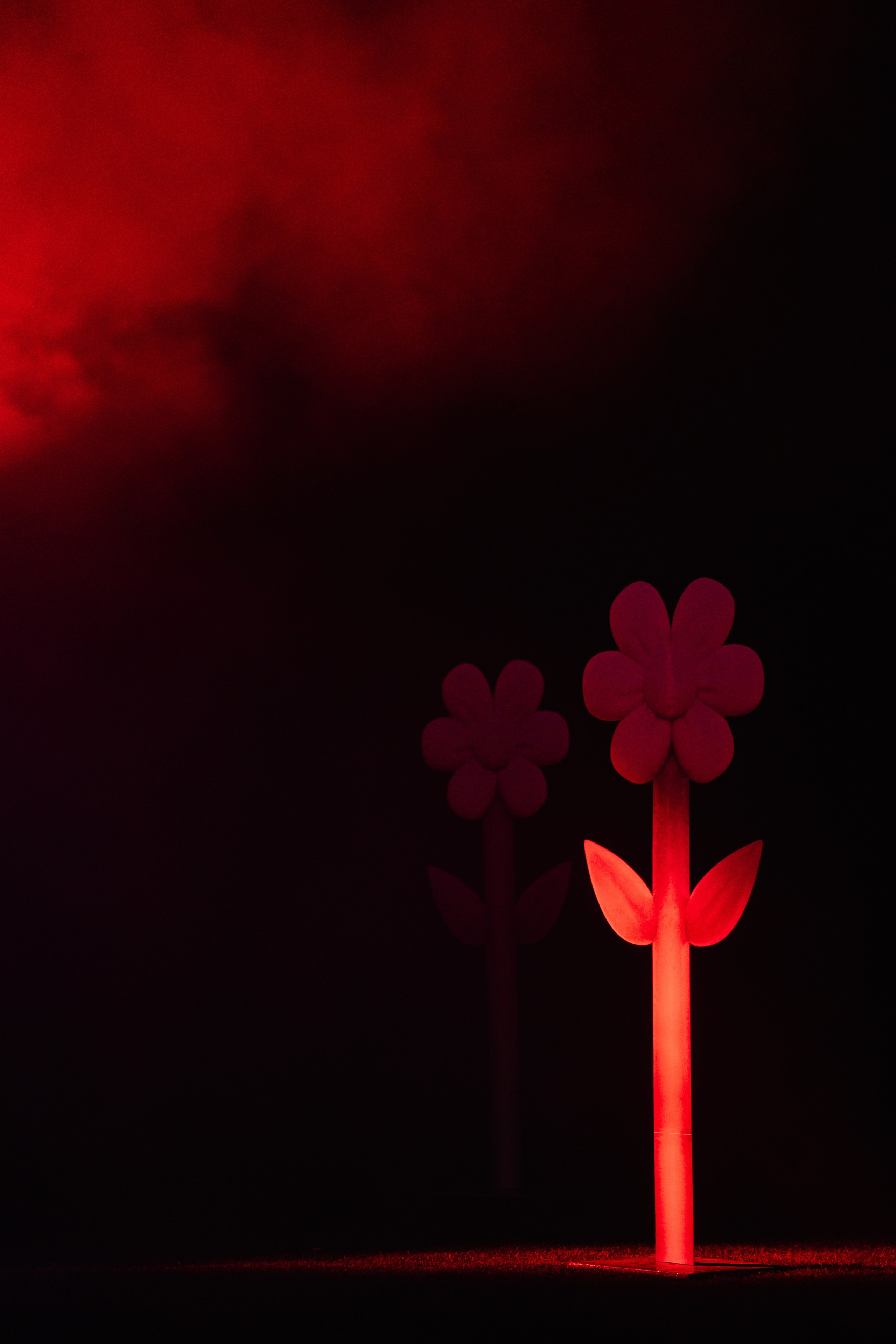 Андрей и Катя. Свадебный и семейный фотограф в Анапе Елена Полетаева