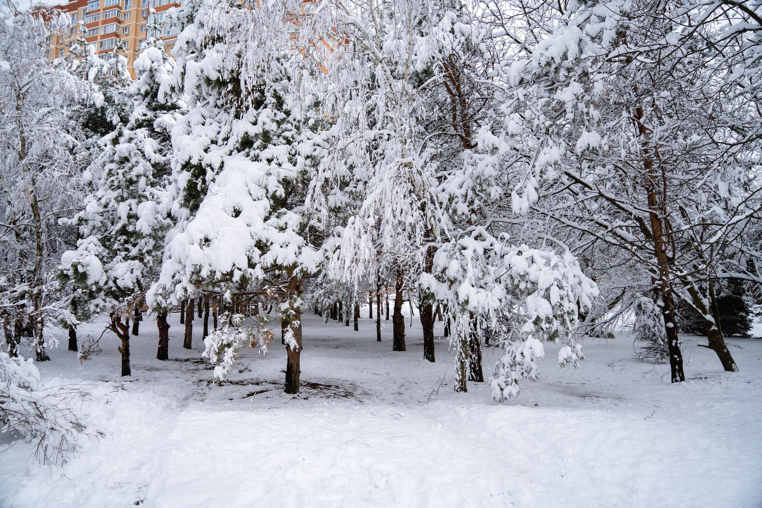 Зима 2024. Свадебный и семейный фотограф/видеограф в Краснодаре Наталья Осинская