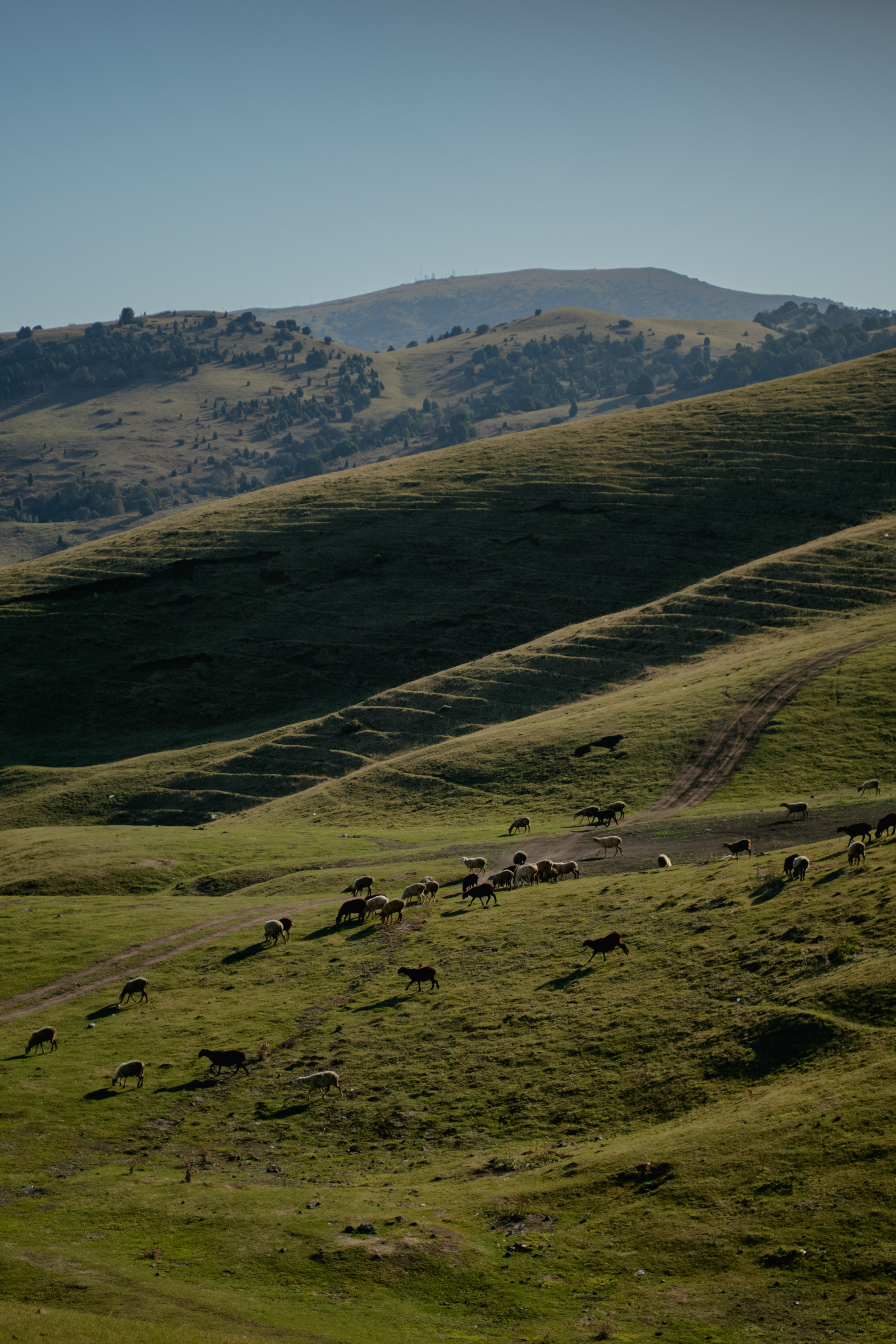 Кыргызтан. Профессиональный Фотограф во Владимире, в Москве и в Суздале — Полина Романычева