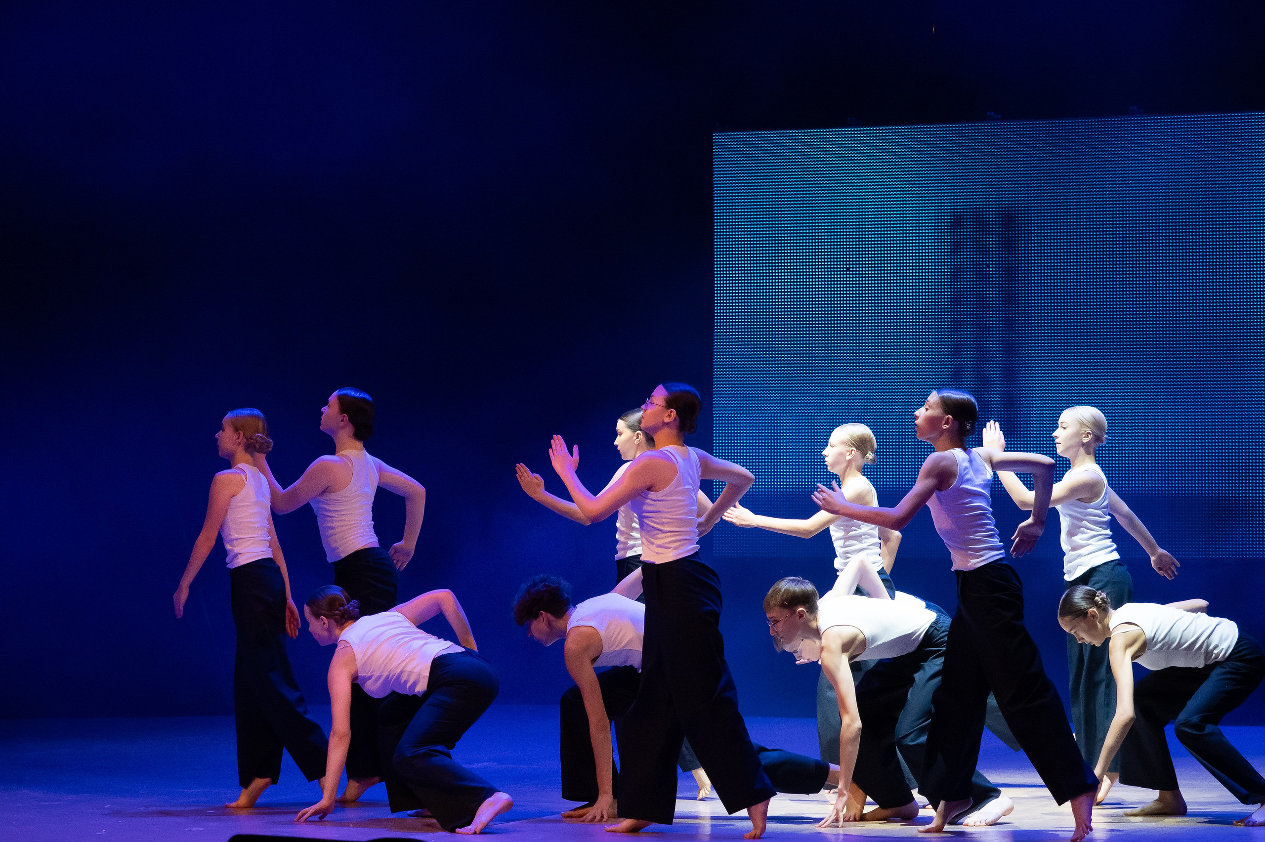 Концерт «Пространные танцы». Репортажный, семейный и детский фотограф в Пензе и Заречном Арина Ермилова. Картины барельеф на заказ