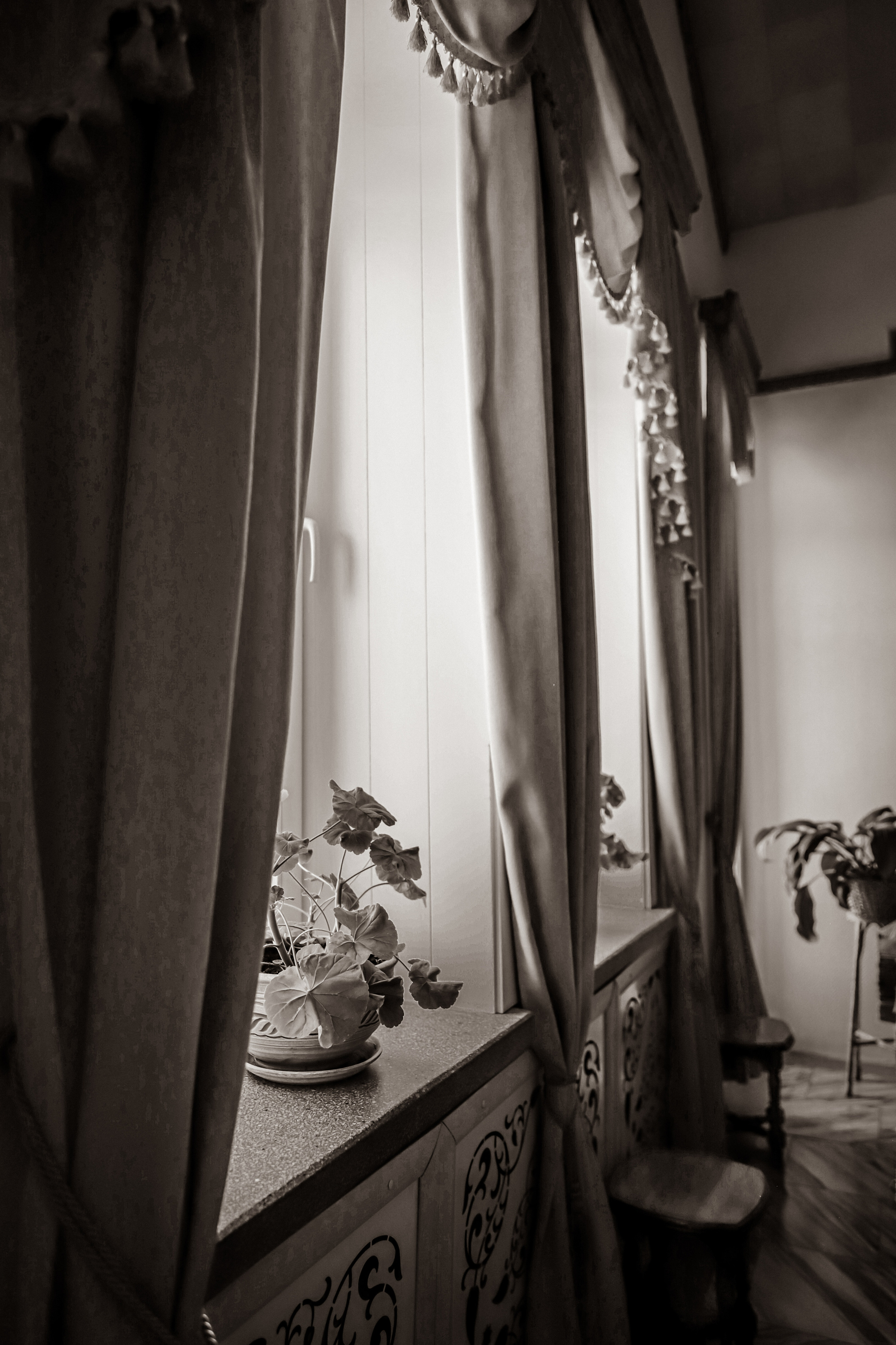 Елизавета. Фотограф в Канске Нина Пуряева