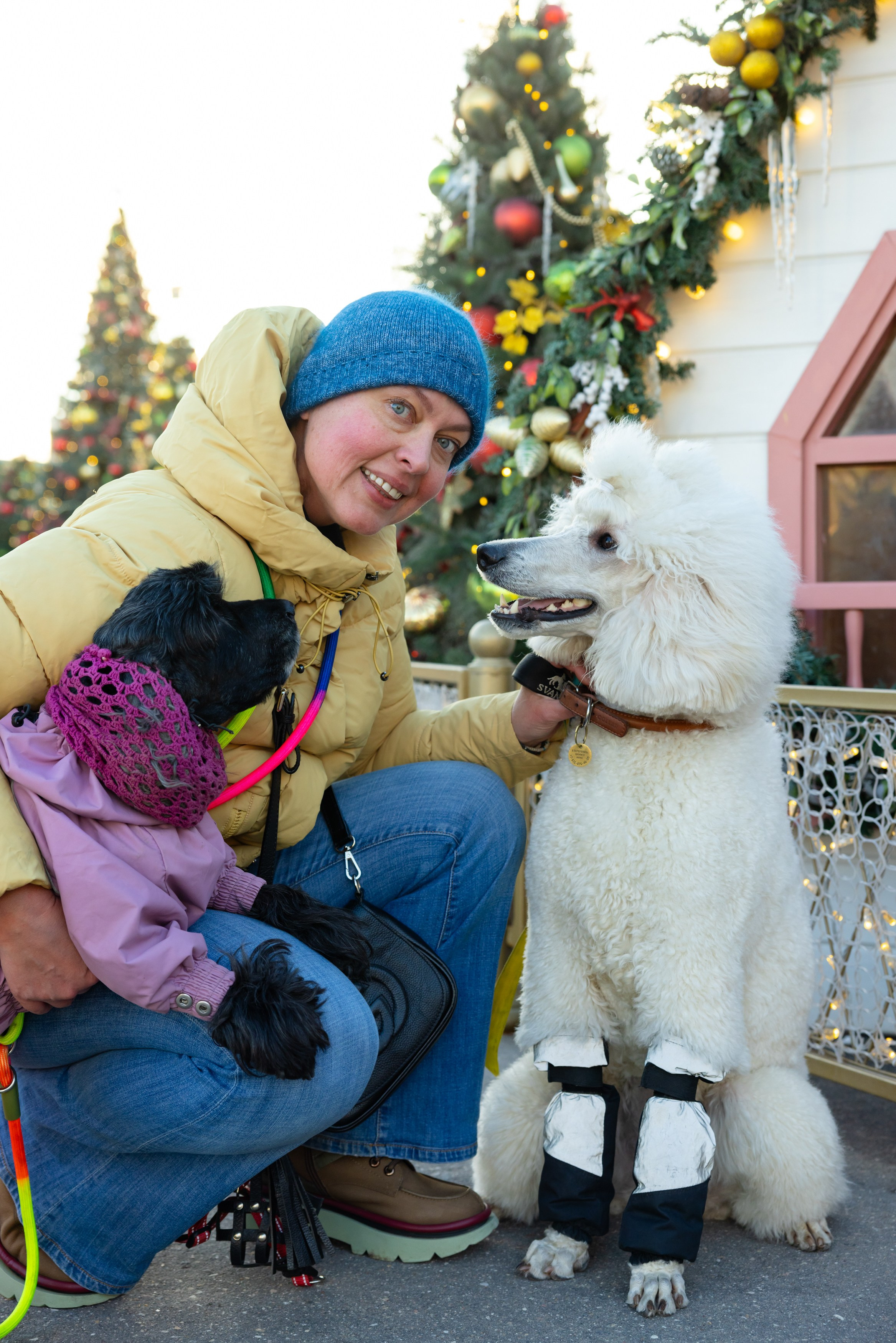 Клуб грумеров (прогулка и семинары). Виктория Зудина — фотограф в Москве
