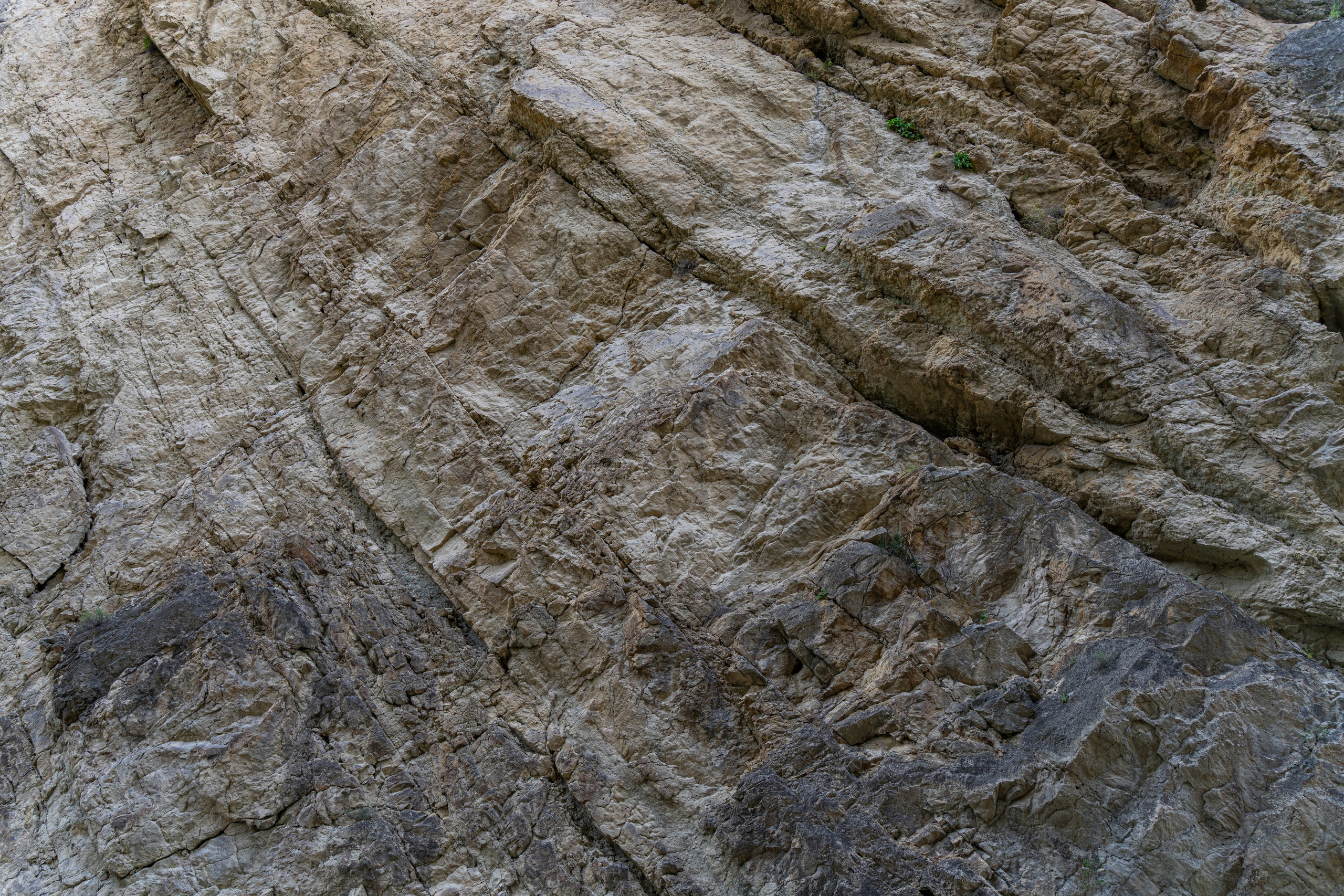 Дагестан. Фотограф в Москве. Шахабудин