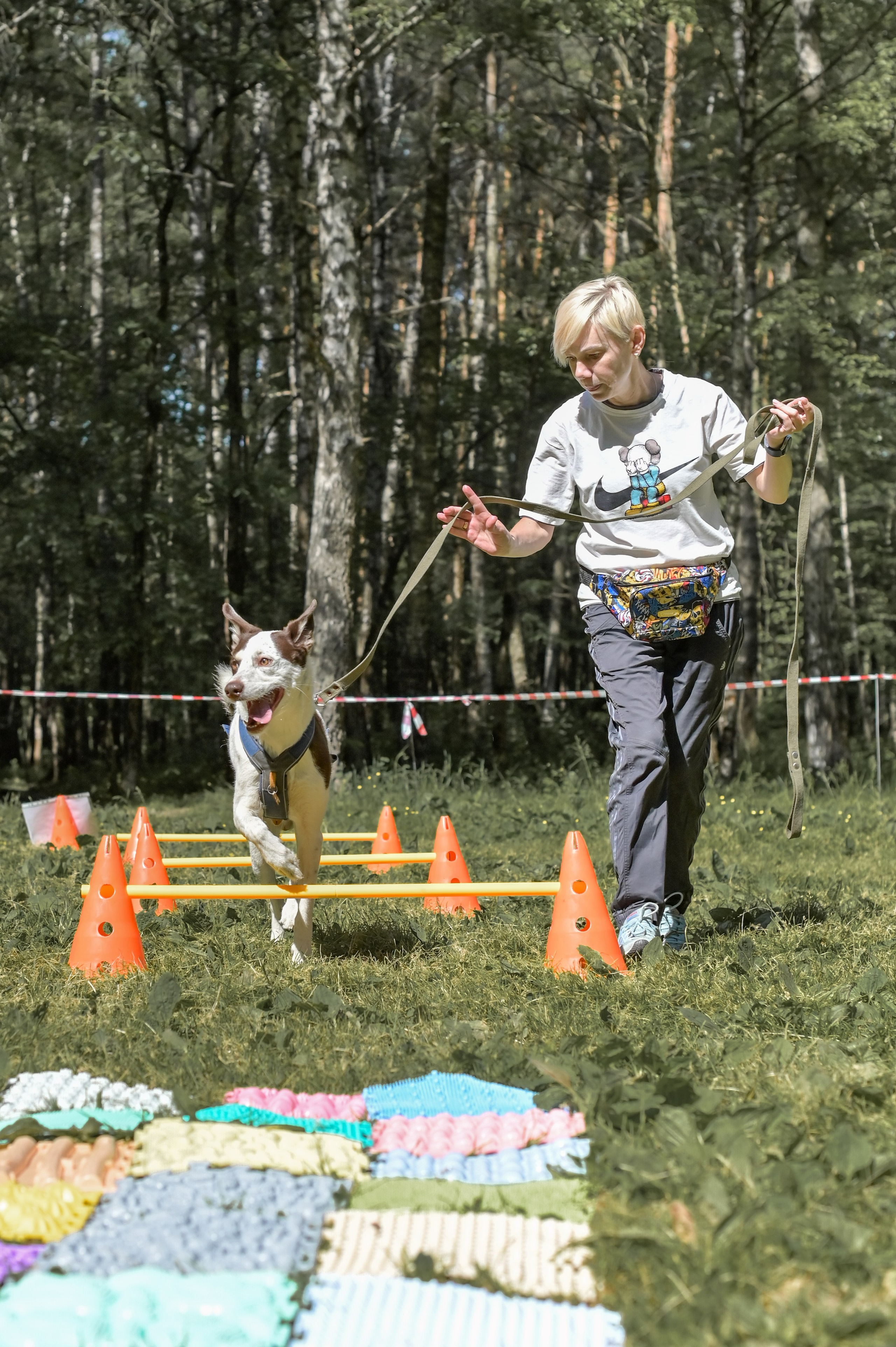 Кинологические соревнования. Семейный и репортажный фотограф в Москве Анастасия Трубкина