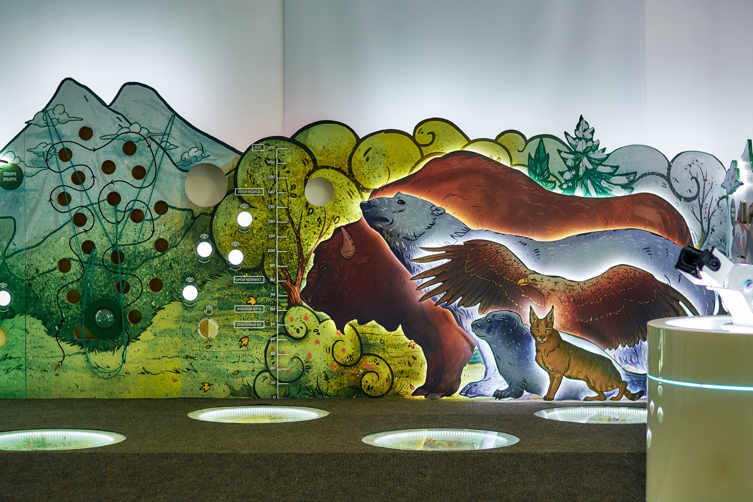 Интерьерная съемка Визит-центр Национальный парк «Кисловодский». Константин Кордонский | Интерьерный и food-фотограф в Кисловодске и КМВ