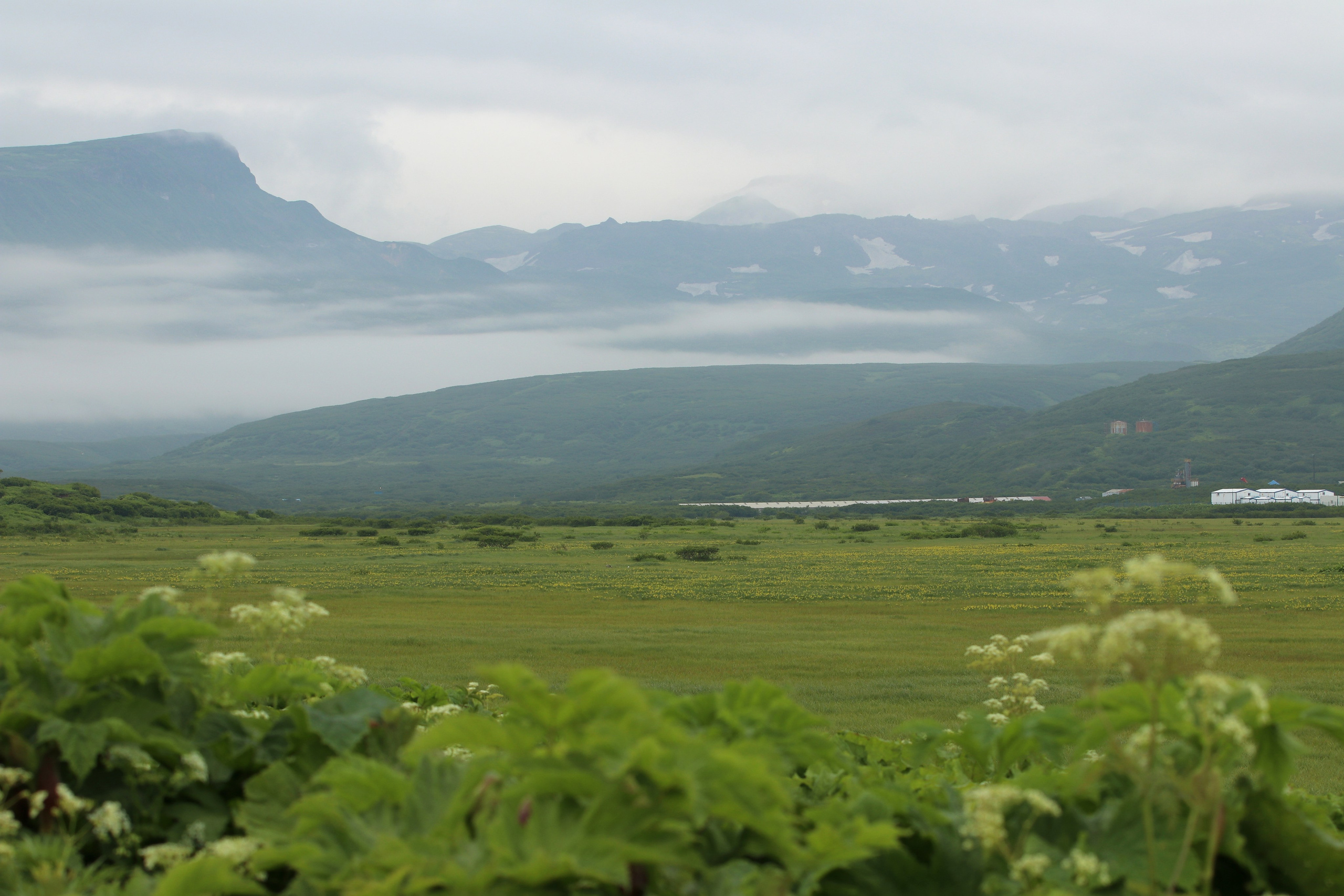 Камчатка и о. Парамушир. Июль 2024. Путешественник-фотограф из Санкт-Петербурга Татьяна Свистулина