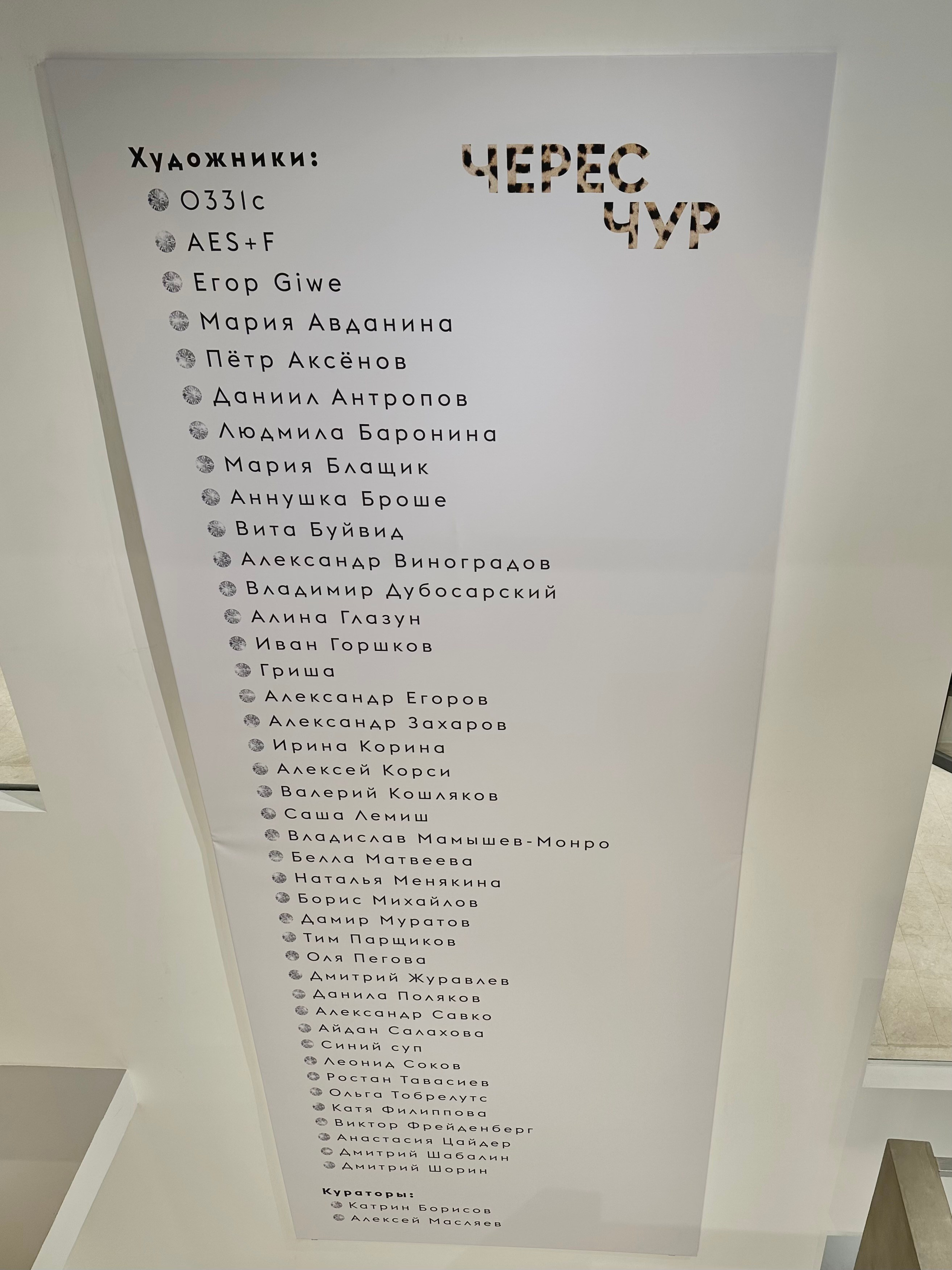 Выставка Чересчур. Фотосессии и репортаж — Фотограф в Москве — Рина Серёгина