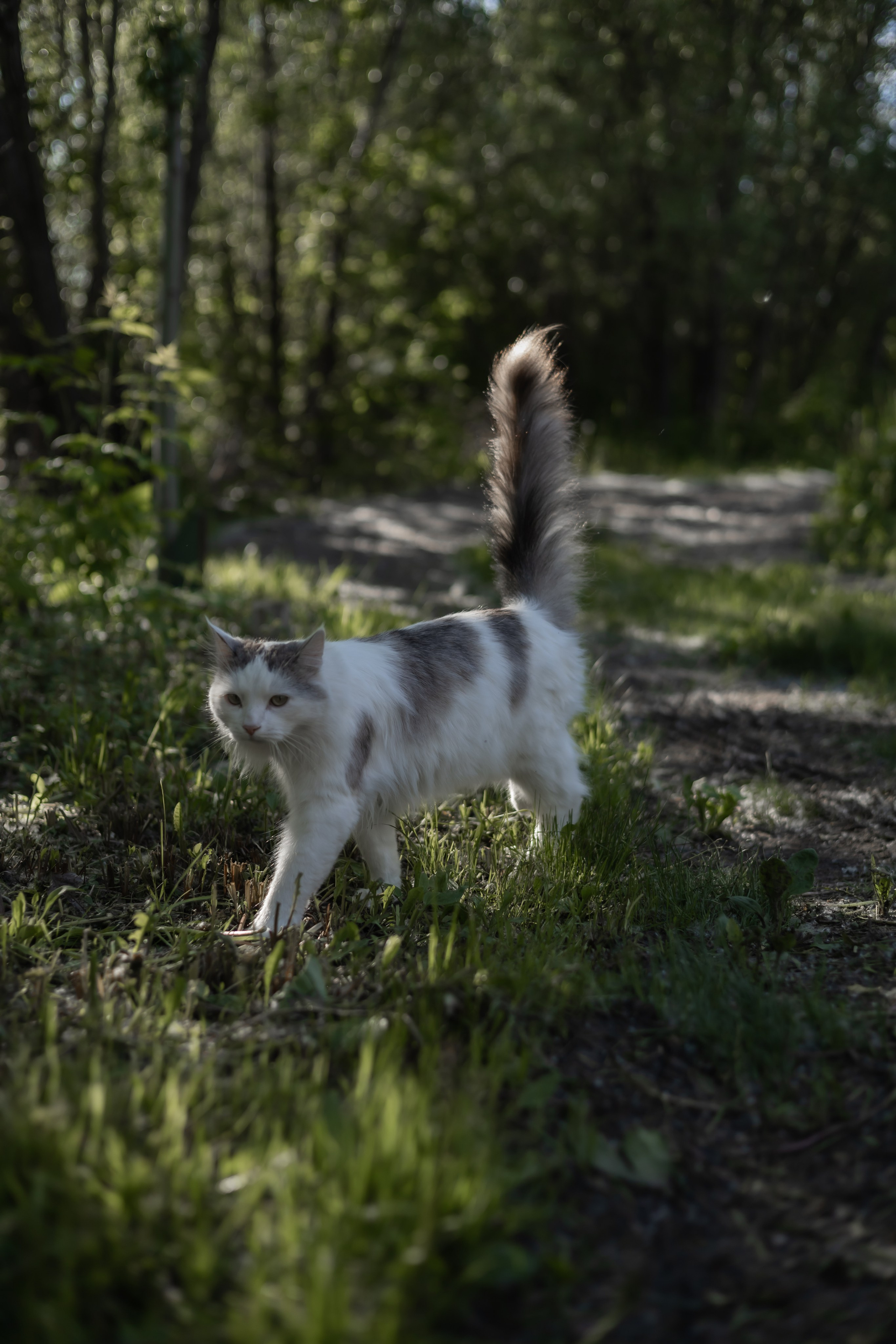 DINARA. Фотограф Элла Ефимова