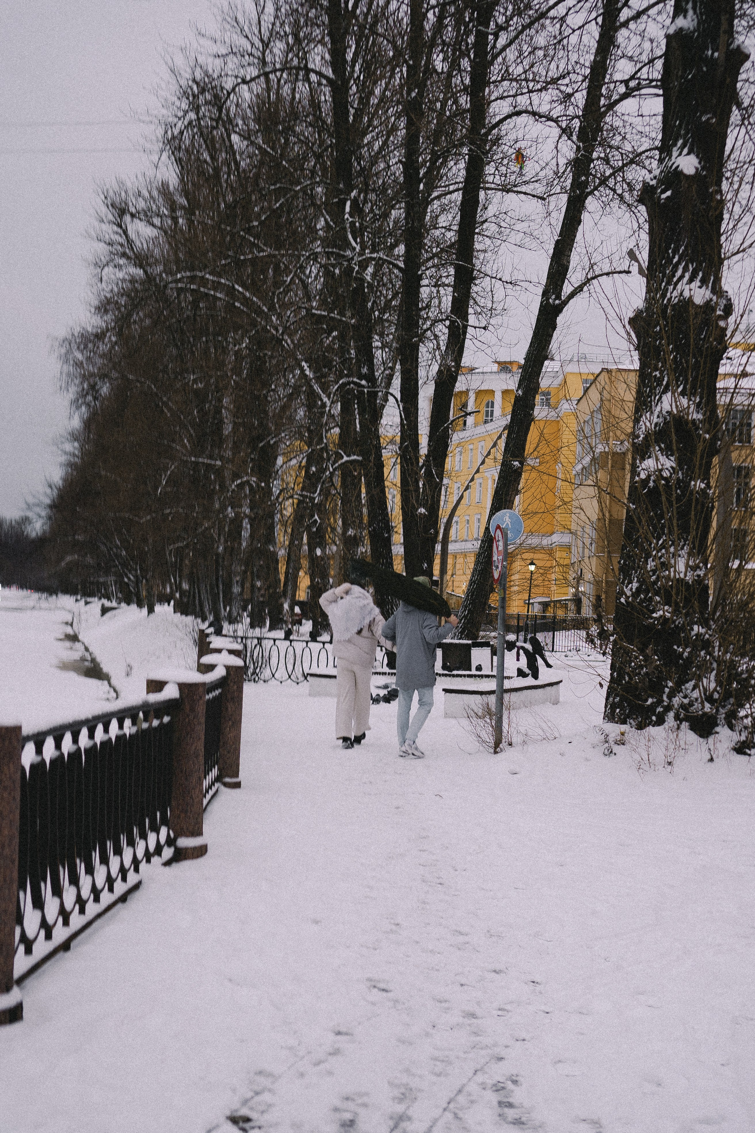 Зимняя история. Профессиональный фотограф, Санкт-Петербург — Виктория Богомолова