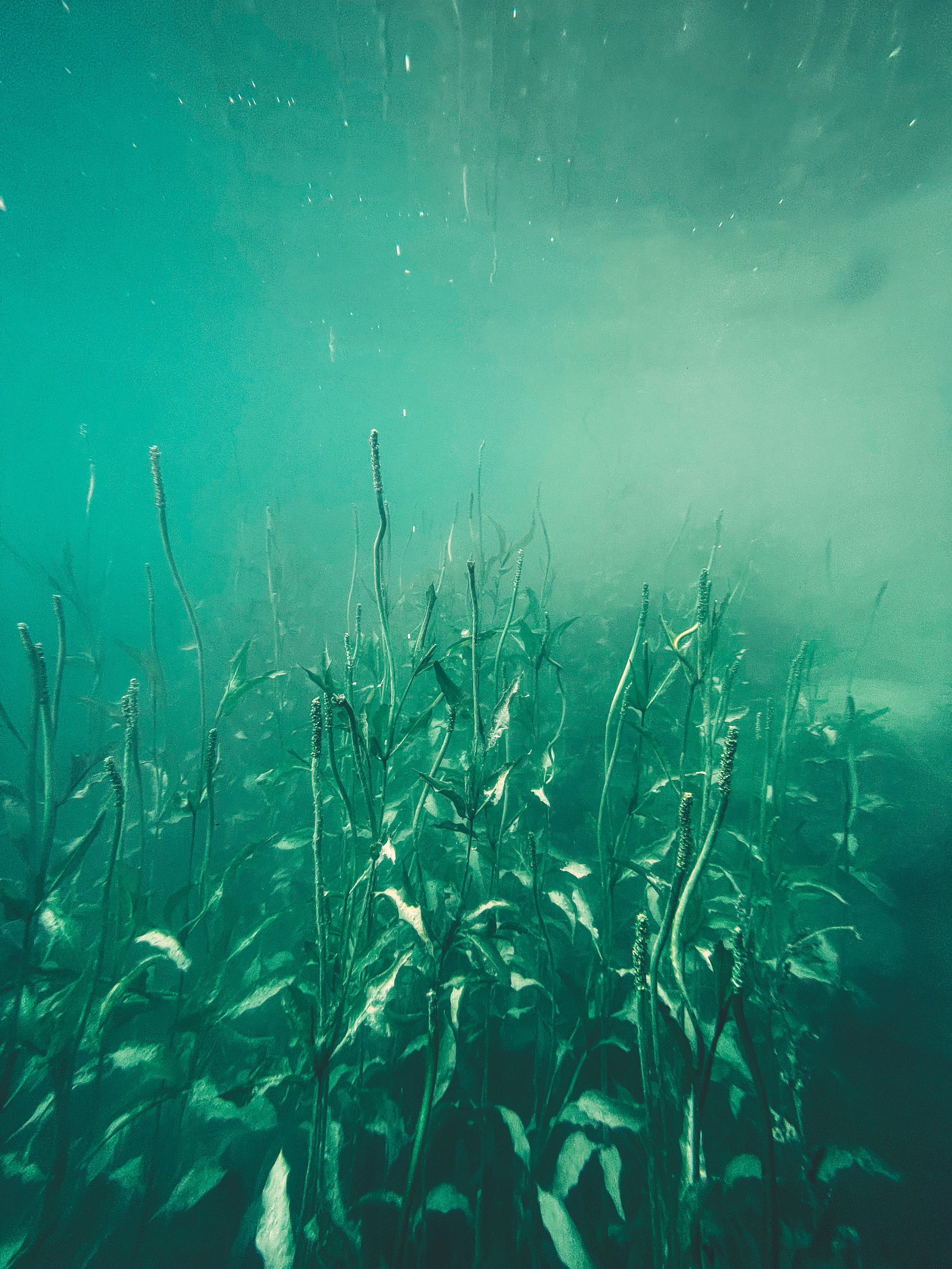 Mobile. CamToGo with Aleks