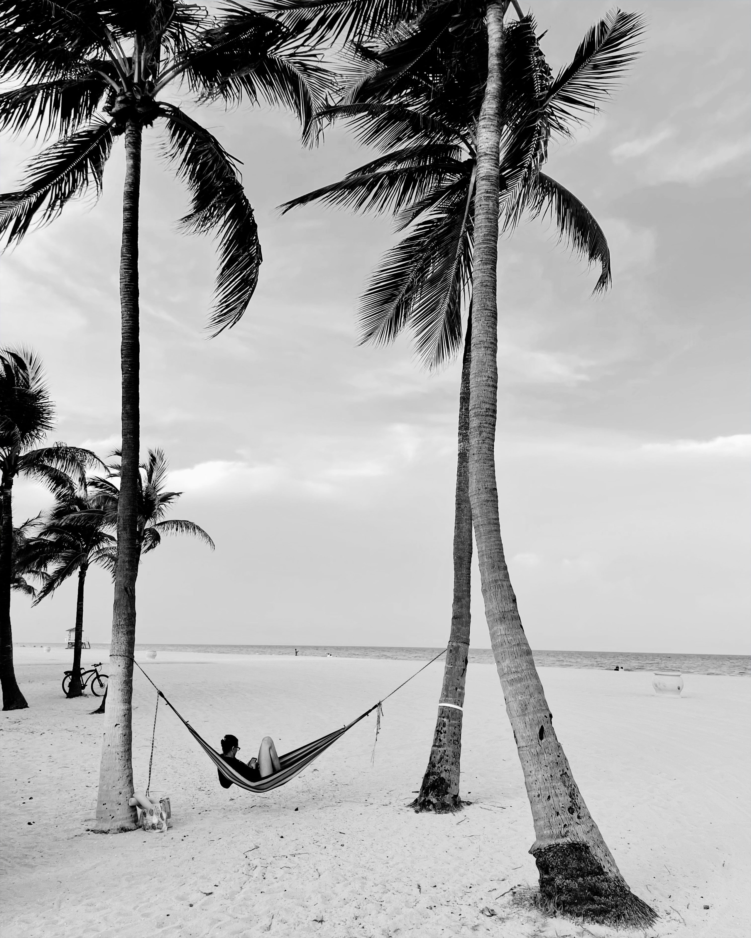 Mobile. CamToGo with Aleks