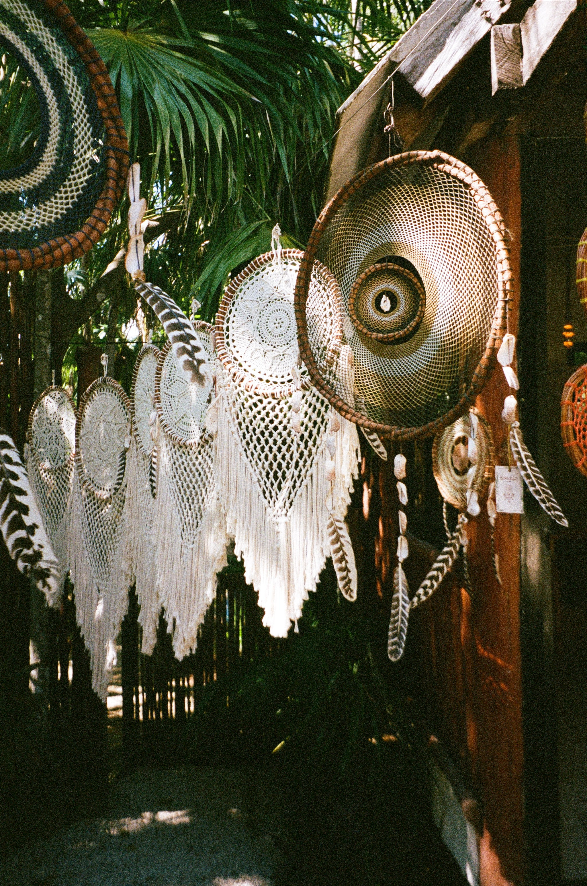 Film. CamToGo with Aleks