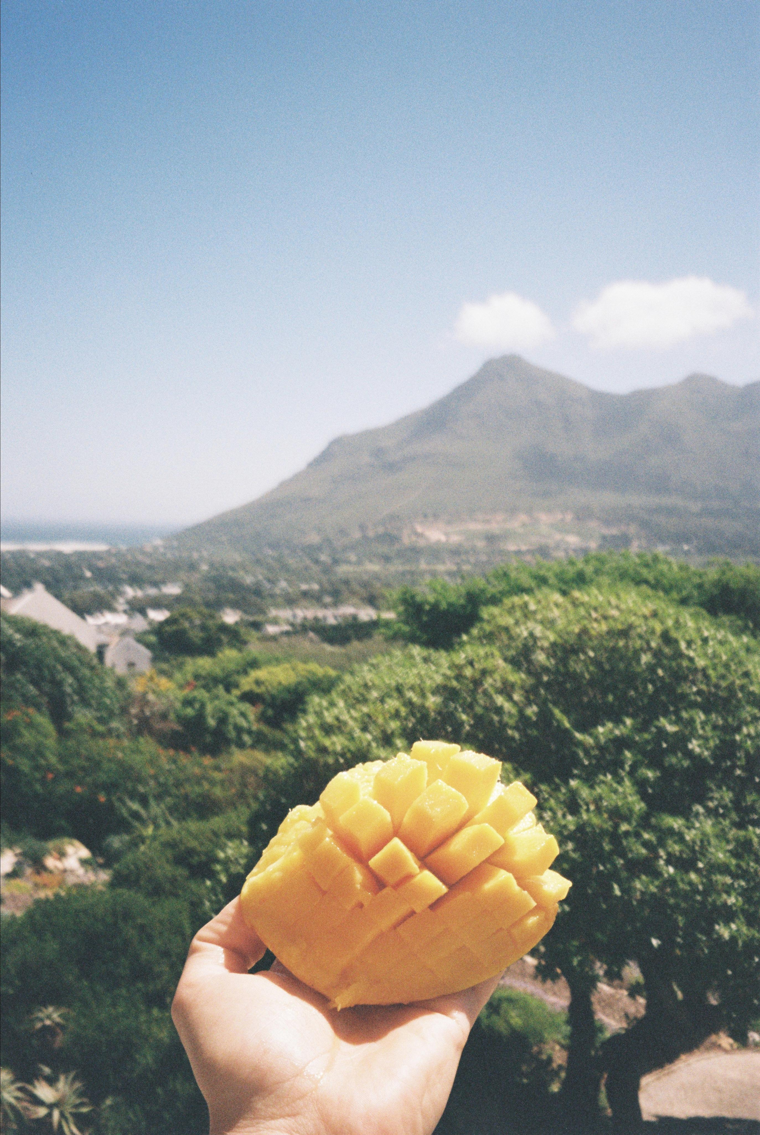 Film. CamToGo with Aleks