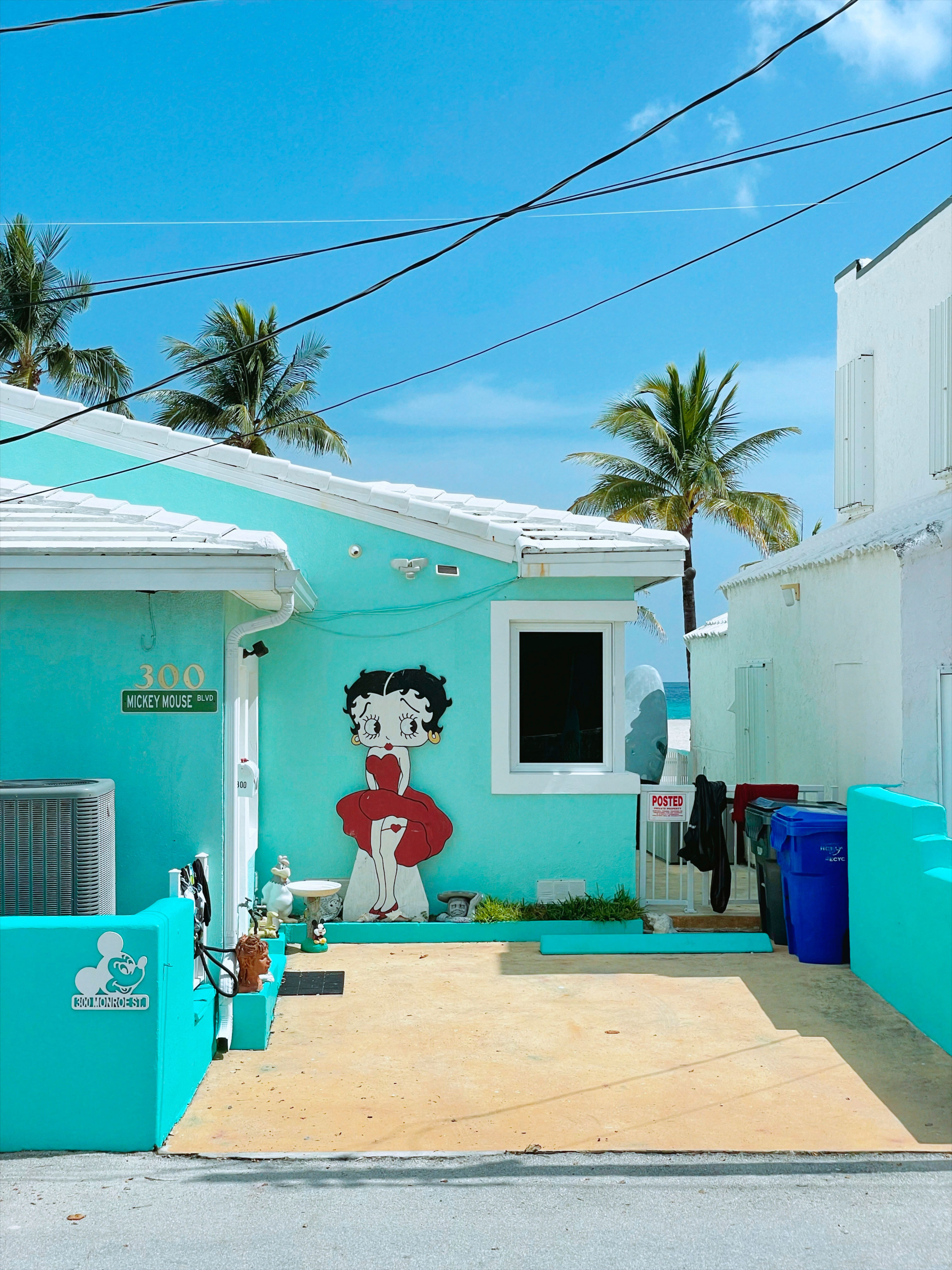 Mobile. CamToGo with Aleks