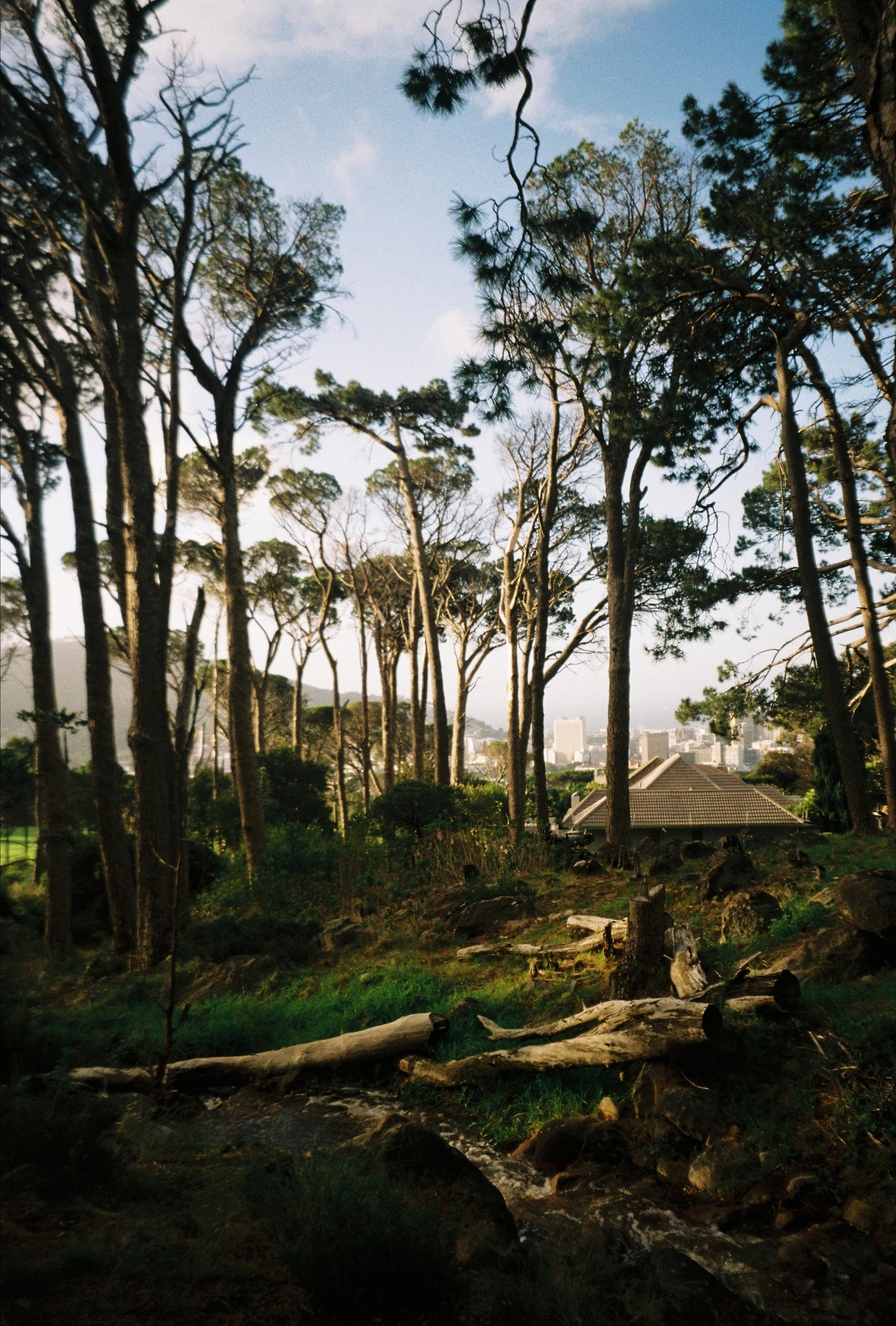 Film. CamToGo with Aleks