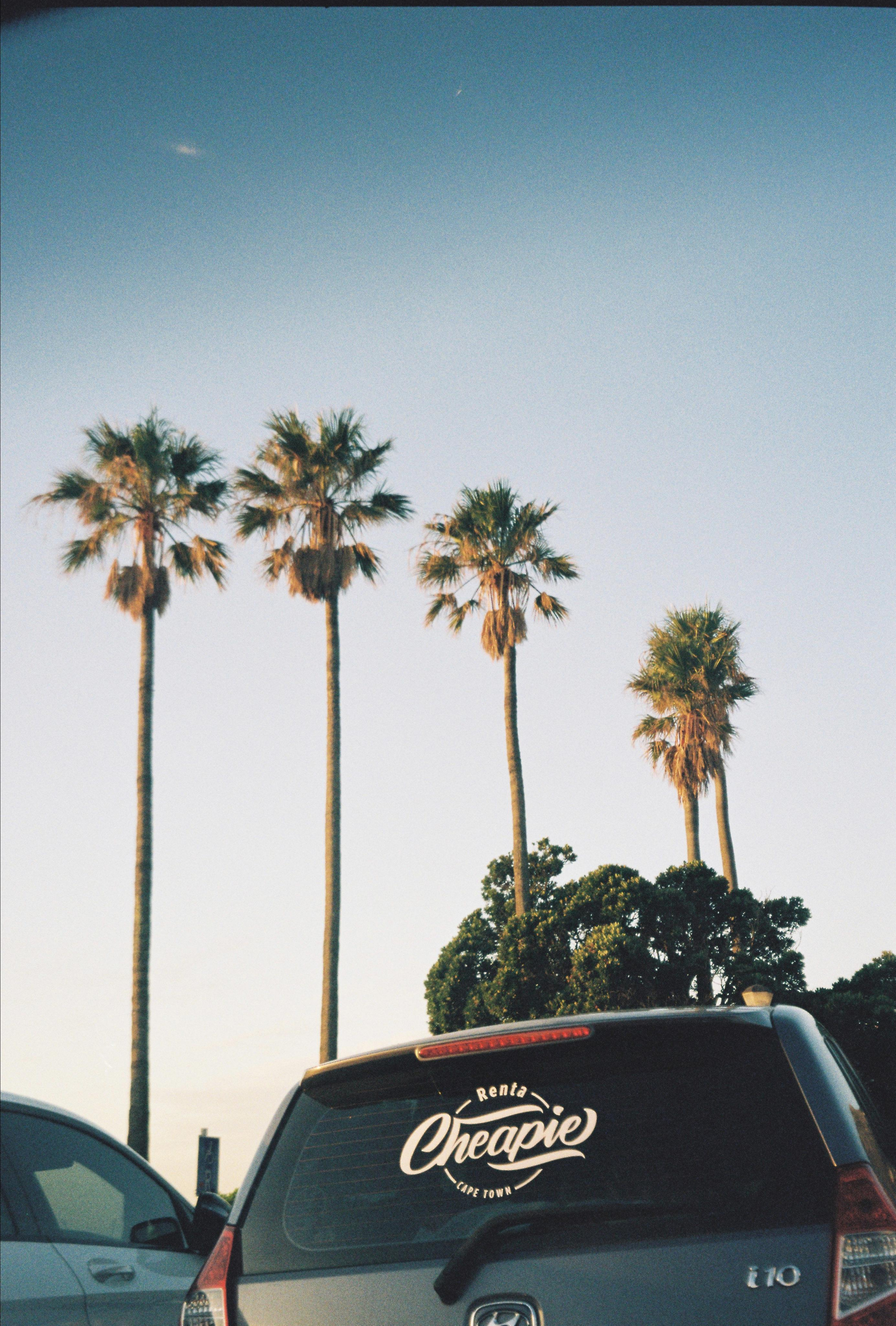 Film. CamToGo with Aleks