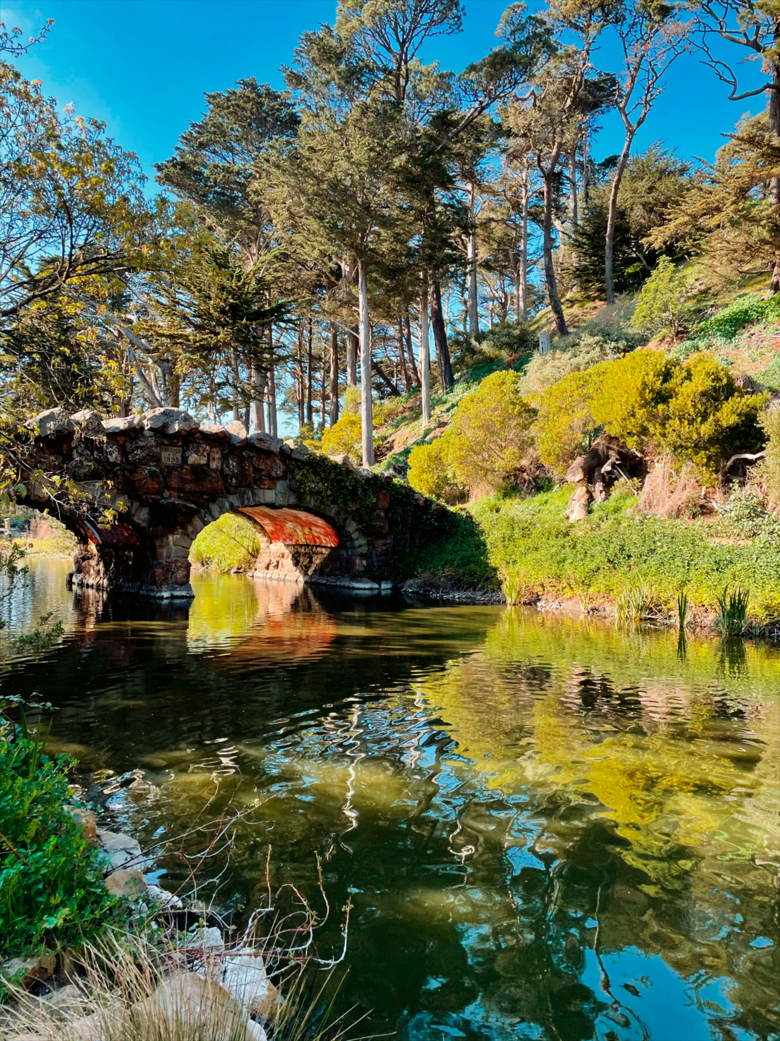 Mobile. CamToGo with Aleks