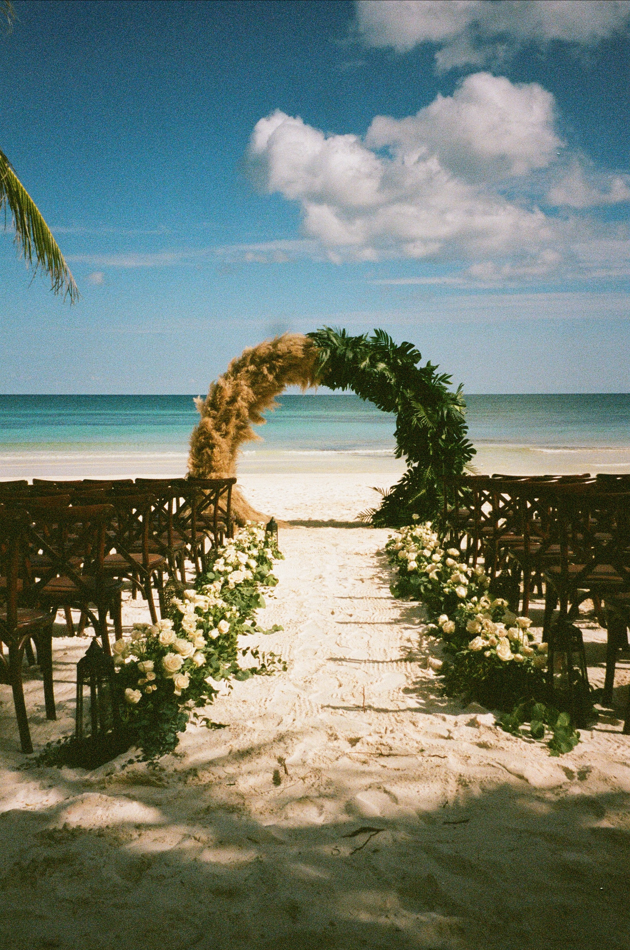 Film. CamToGo with Aleks