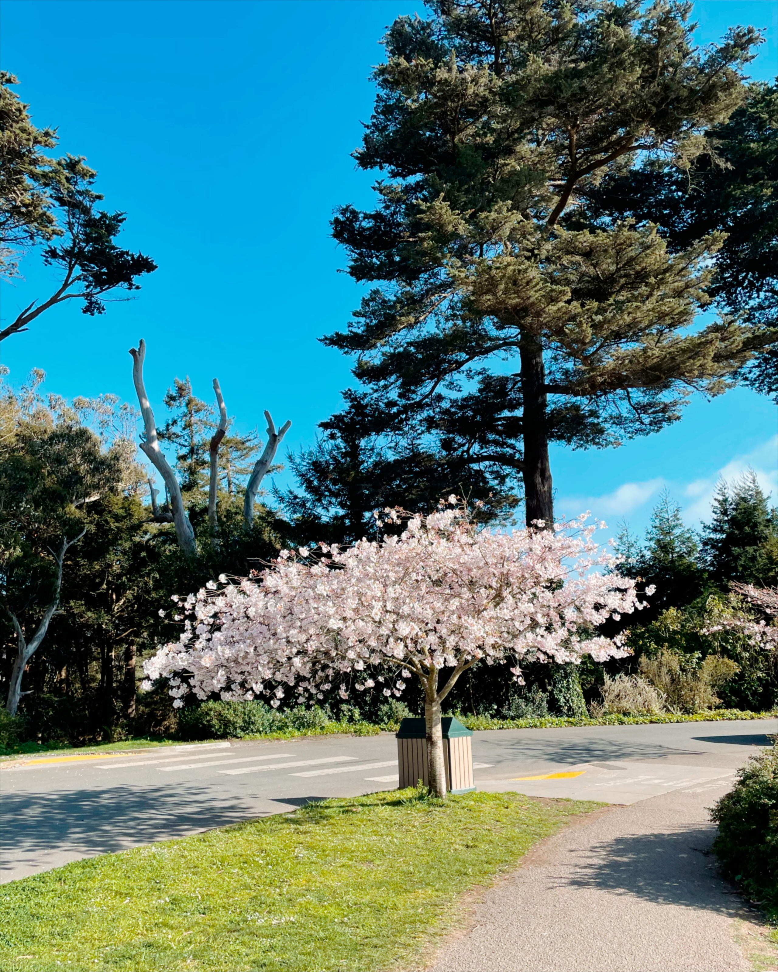 Mobile. CamToGo with Aleks