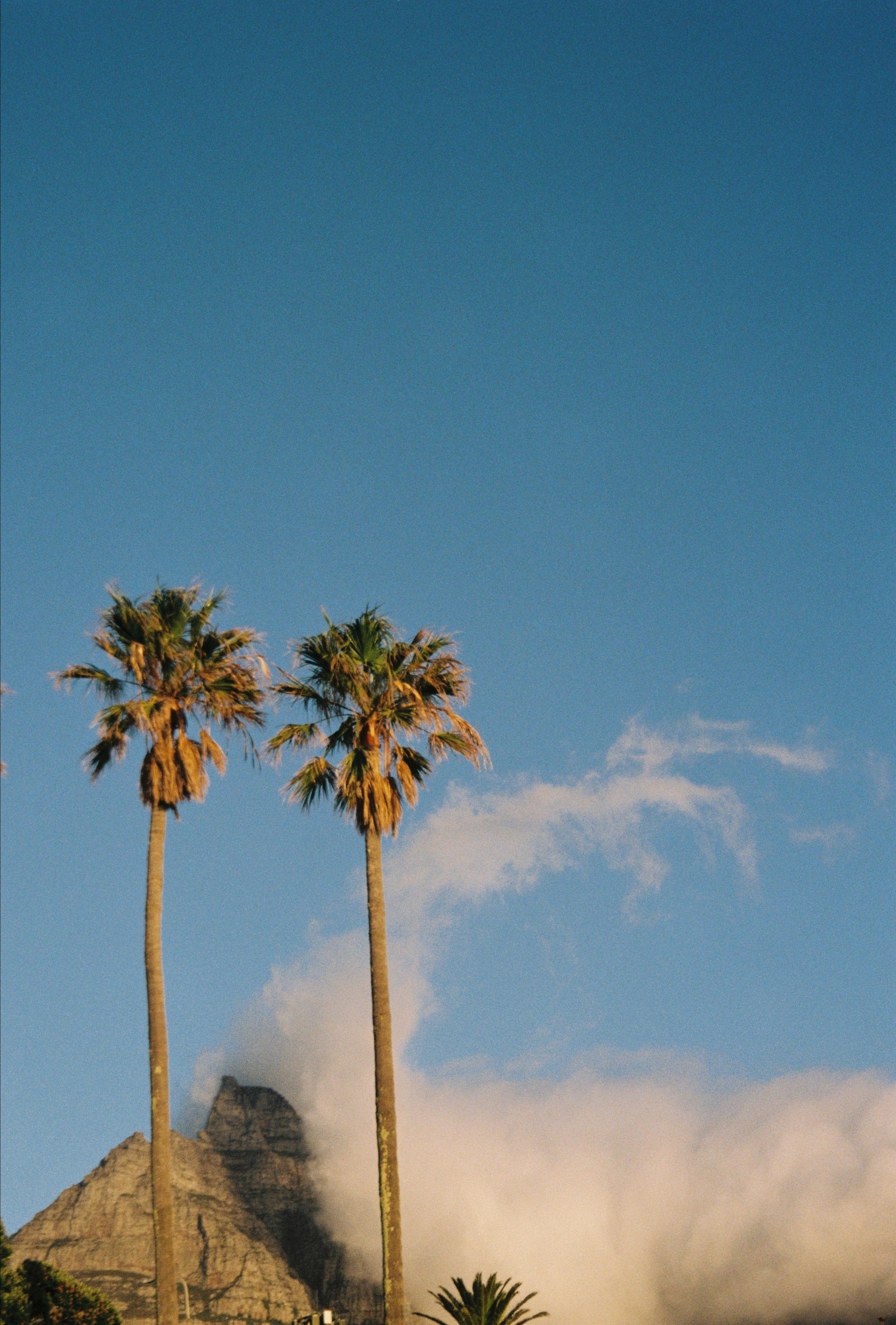 Film. CamToGo with Aleks