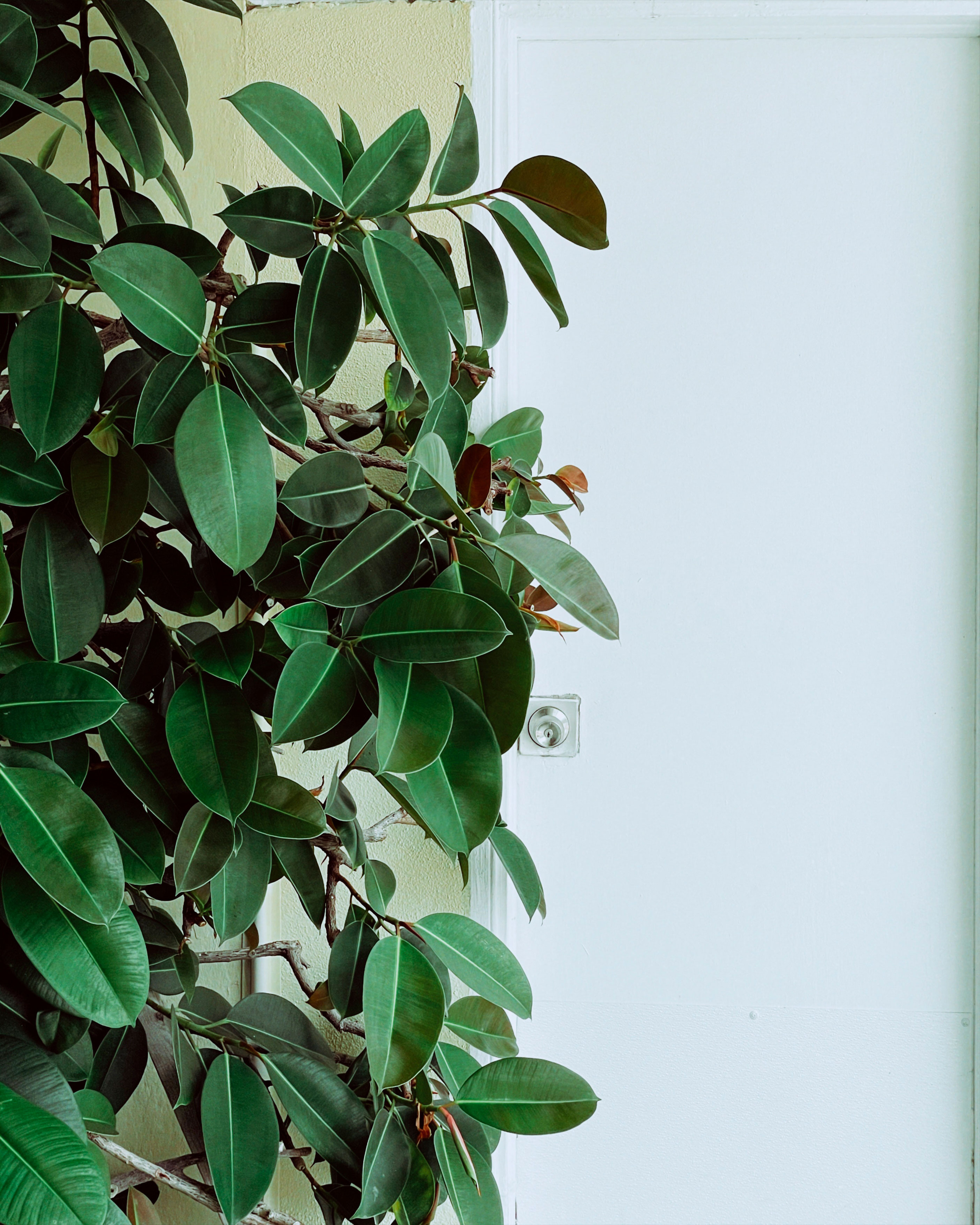 Mobile. CamToGo with Aleks