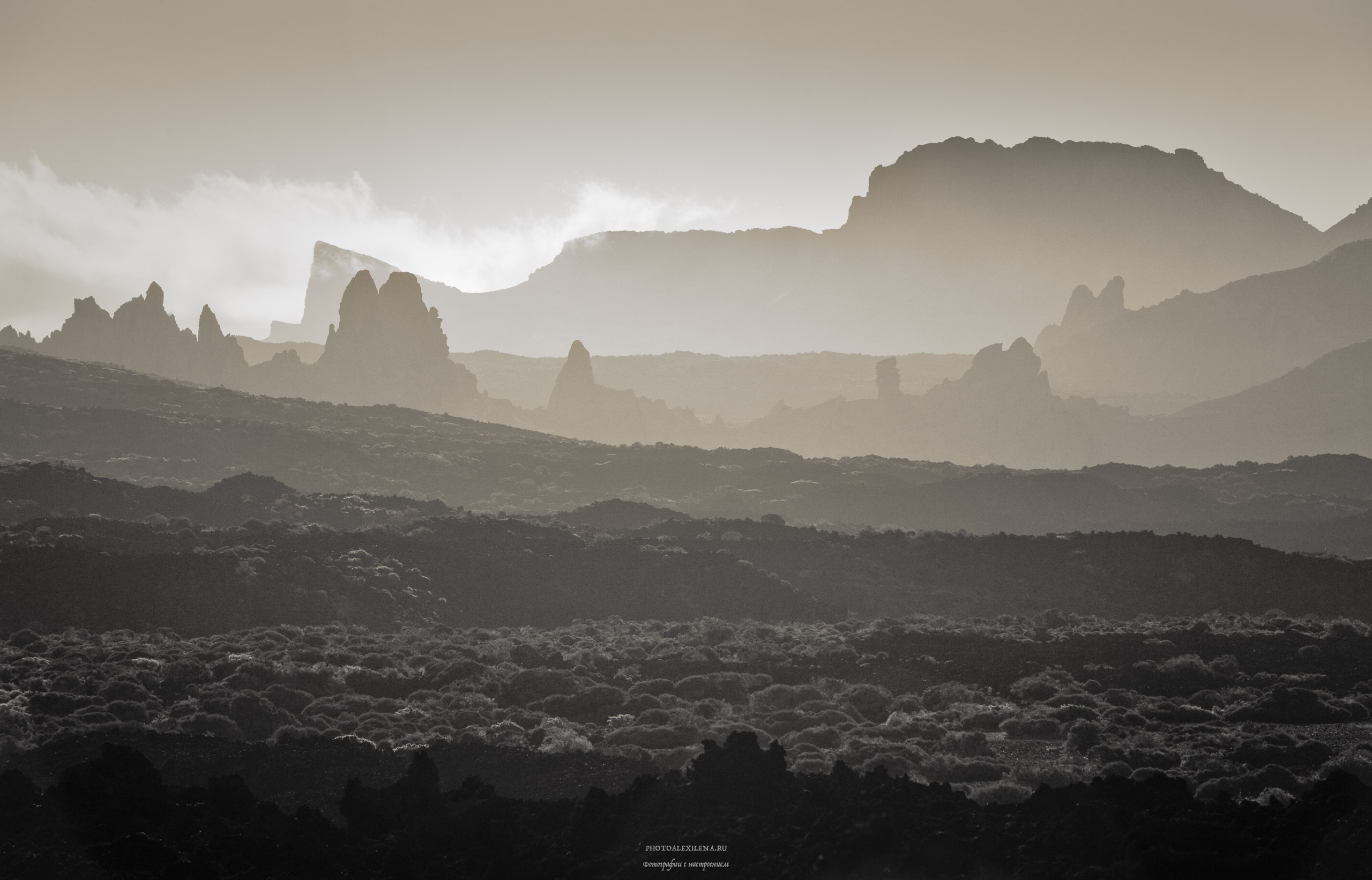 Авторские стильные фотокартины