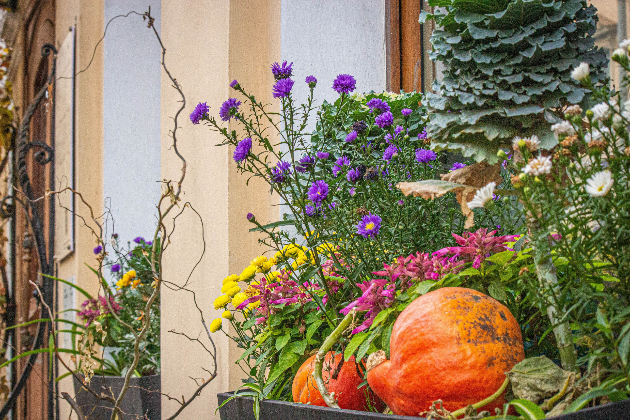 Портфолио. Natashaleto. Моменты в фотоснимках. Портретный / и не только/ фотограф Наталья. Санкт-Петербург