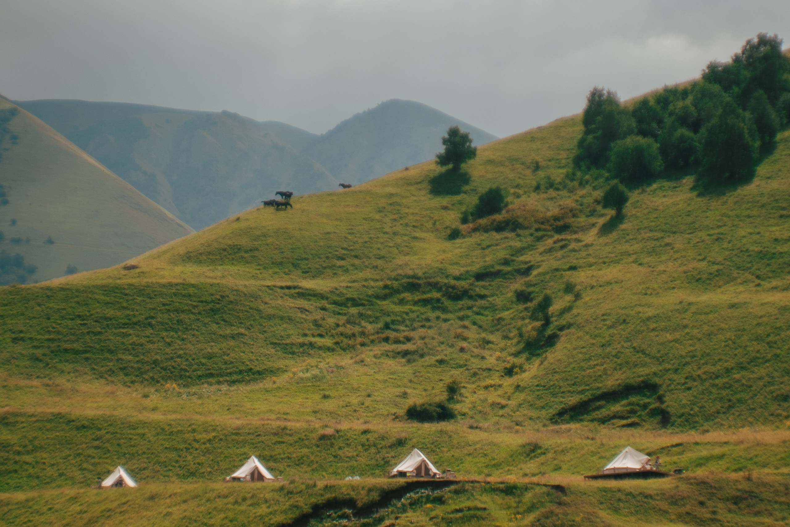 Кабардино-Балкария ✽ Август. Репортажный фотограф | Роза Хутор Красная Поляна Сочи Сириус