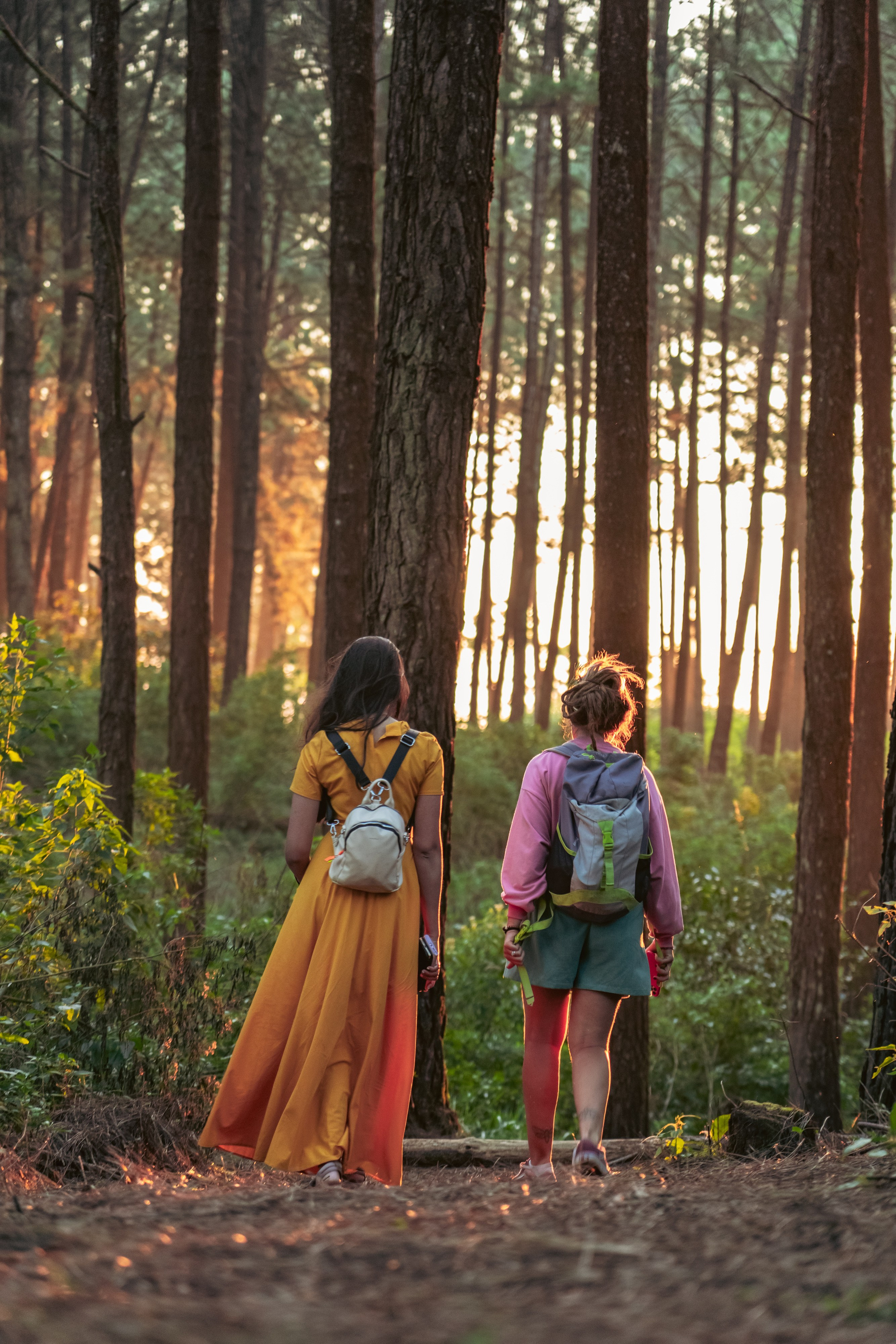 Promo content shooting for Ceylon Forward Tours