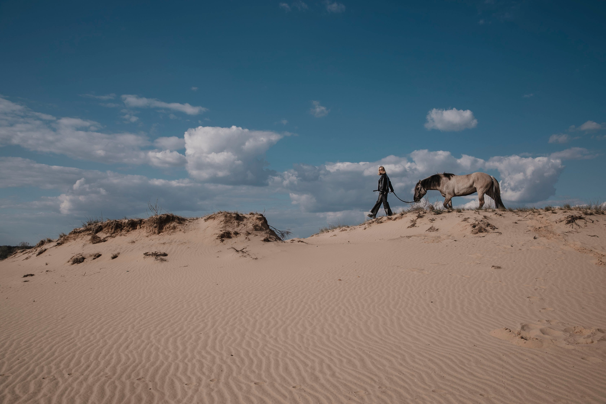 фотосессия с лошадью, фотосессия, лошадь, фотосессия в горах, фото с конем, фотография с лошадью, фотосессия, горы, Кавказ, фотосессия в песках, фотограф Осколкова Ульяна