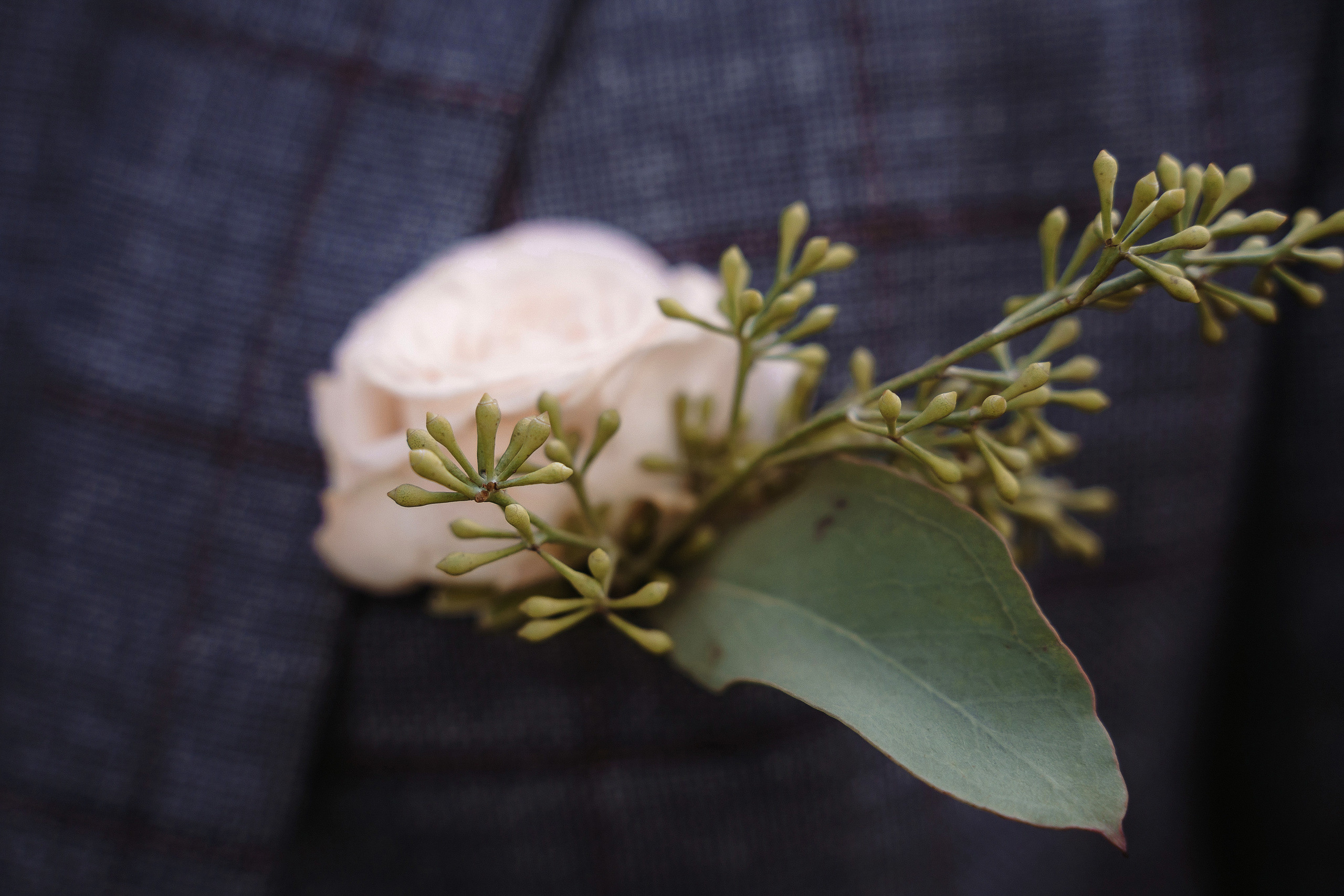 Свадебная фотосессия в Царицино для Юлии и Надира