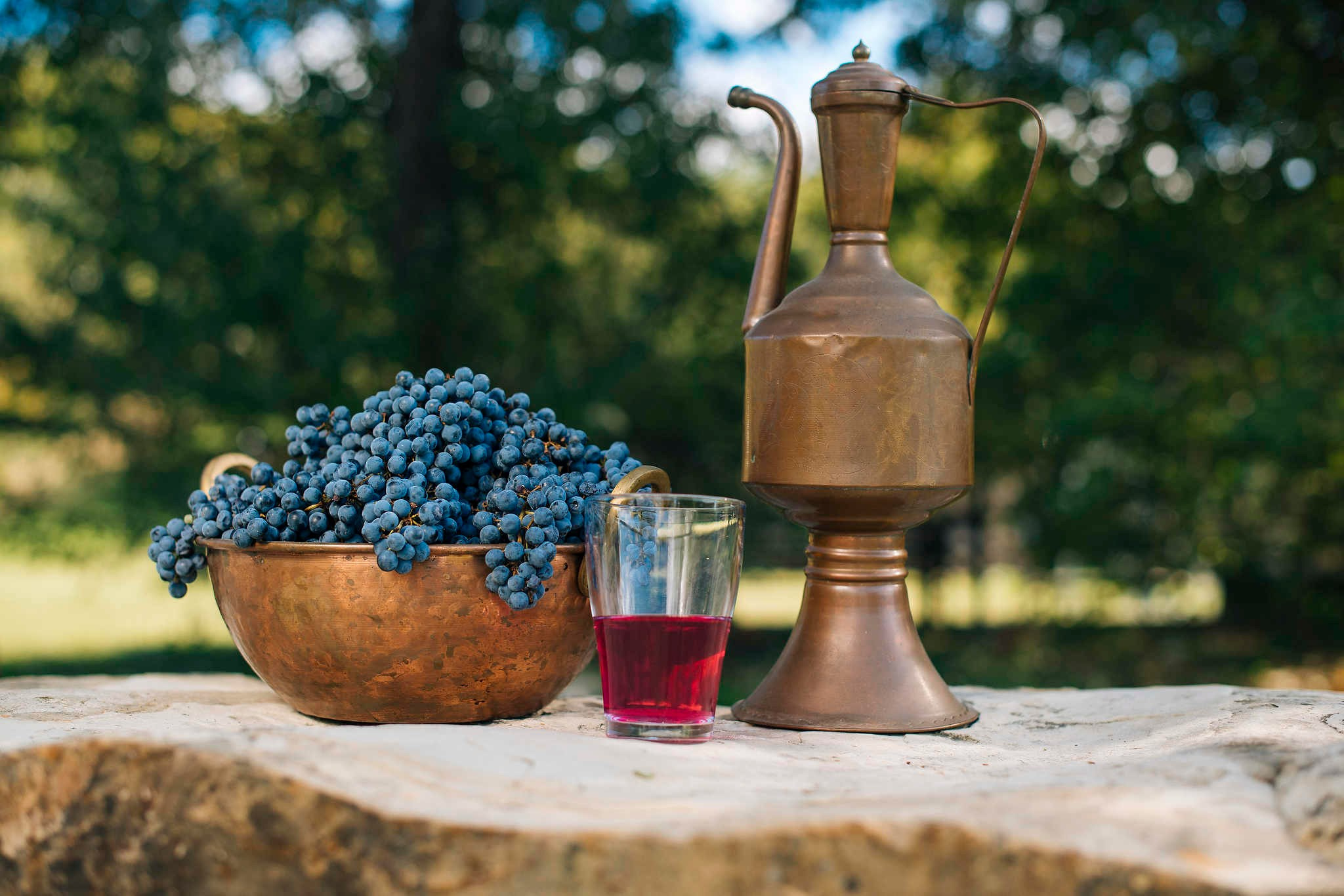 Винодельни Краснодарского края. Фотограф Михаил Мордасов, Сочи. Мероприятия, портреты, спорт, репортаж