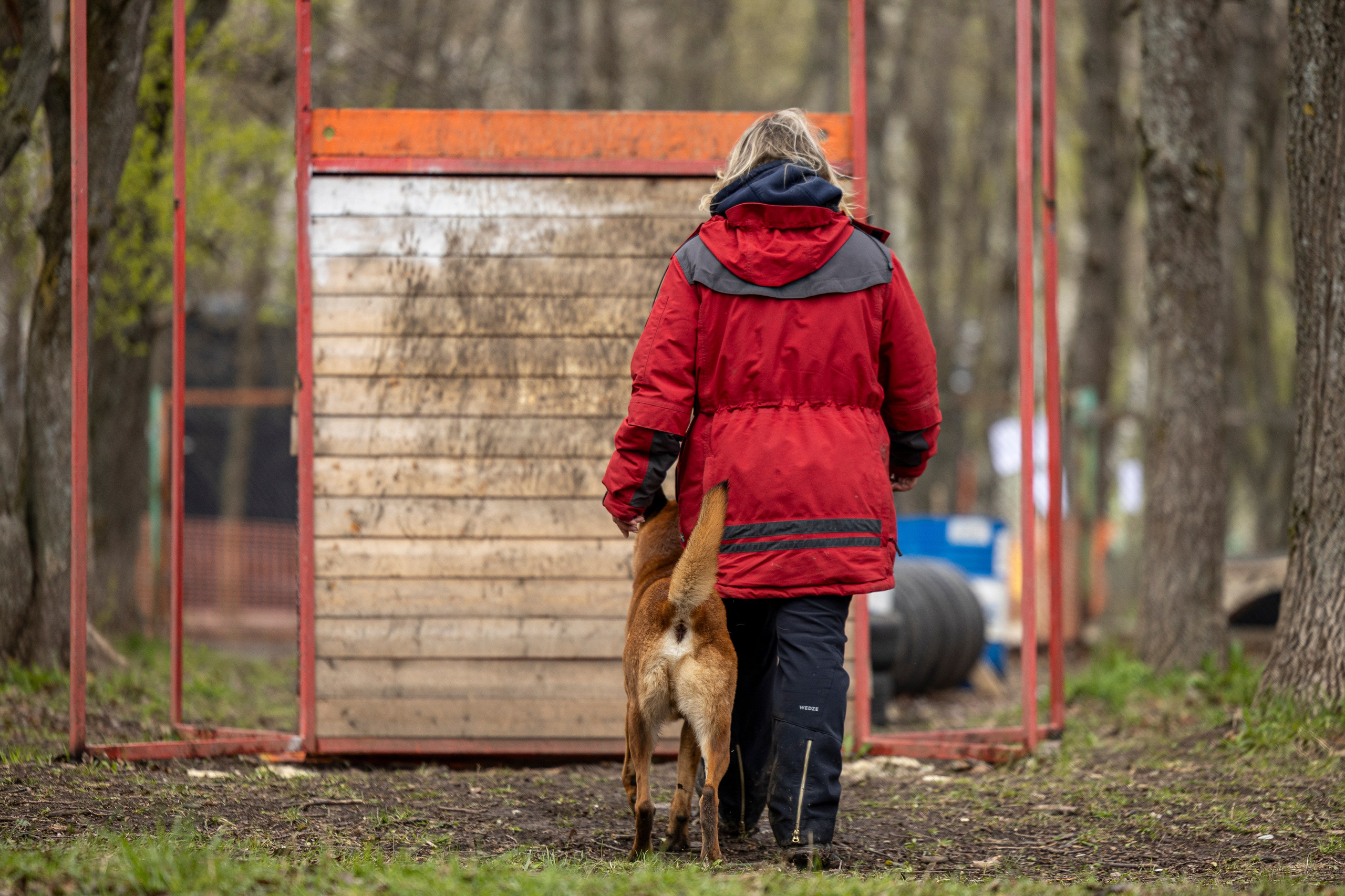 Квалификационные состязания по мондьорингу г. Вологда 11.05.24. Фотограф-анималист Анна Маринич