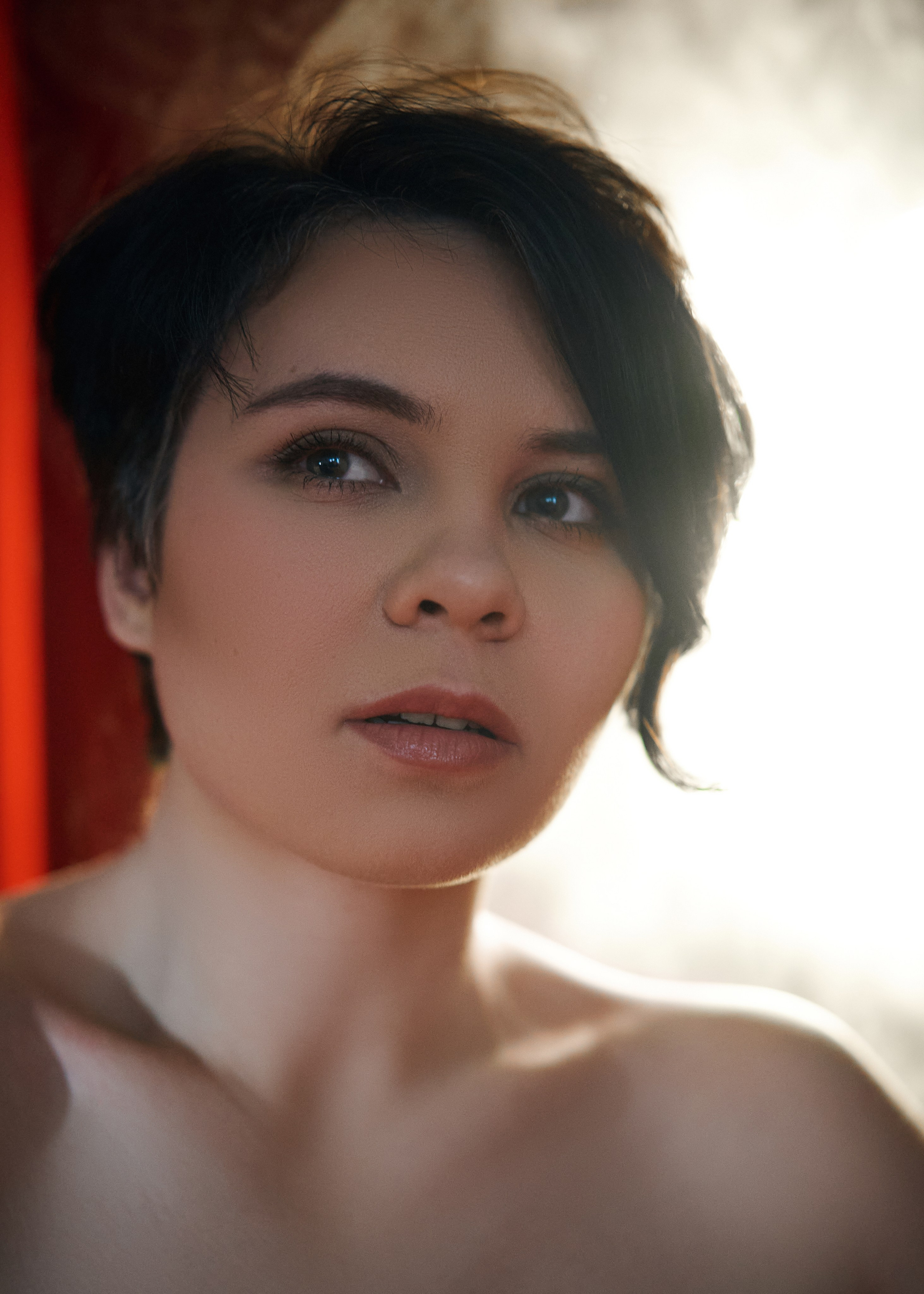 Красный бархат. Фотограф Регина Барская, Калуга