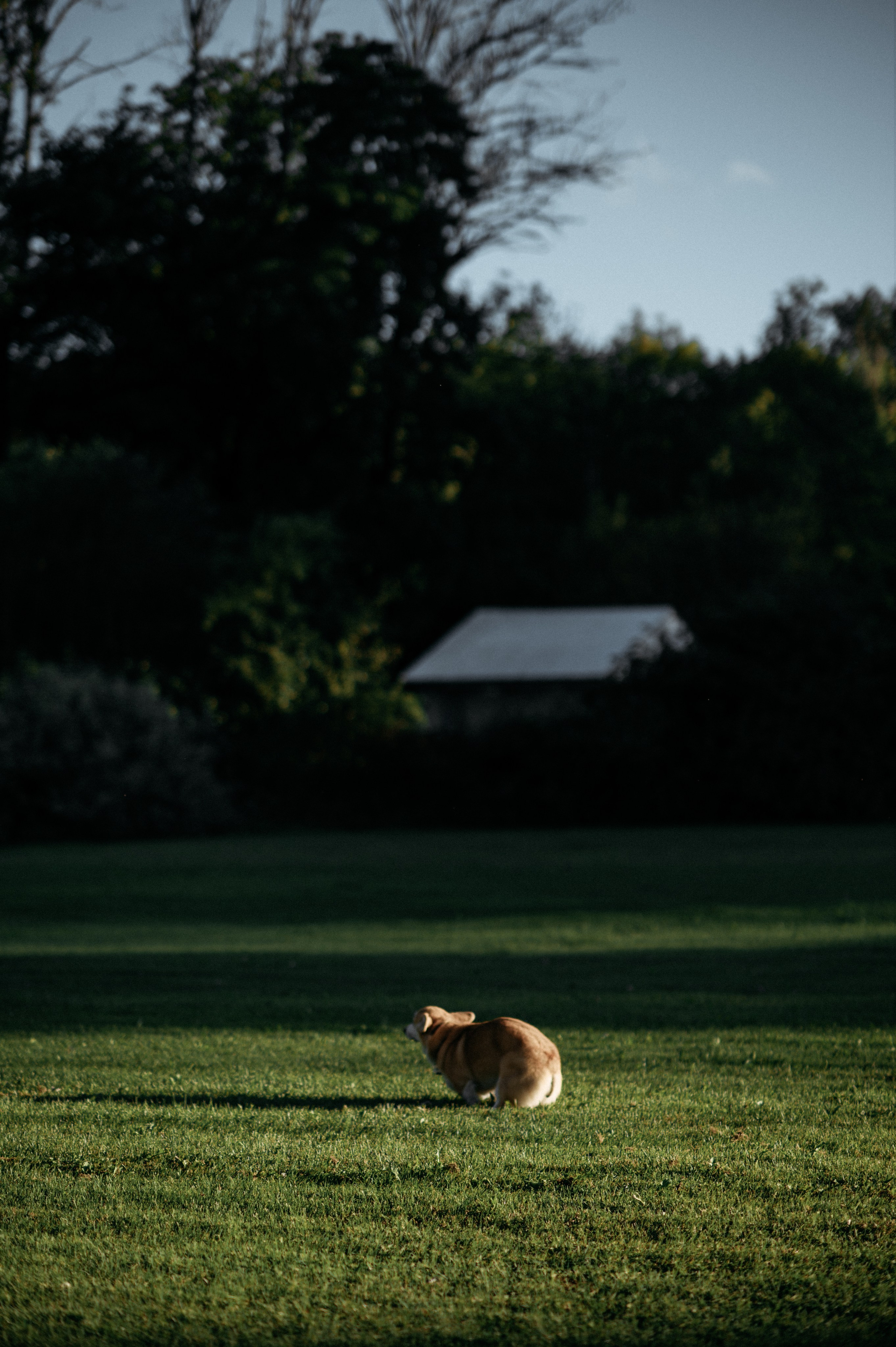 Sergey&Kseniya. Свадебный фотограф МОСКВА, КРЫМ, СМОЛЕНСК АЛЯ КОНОВАЛОВА