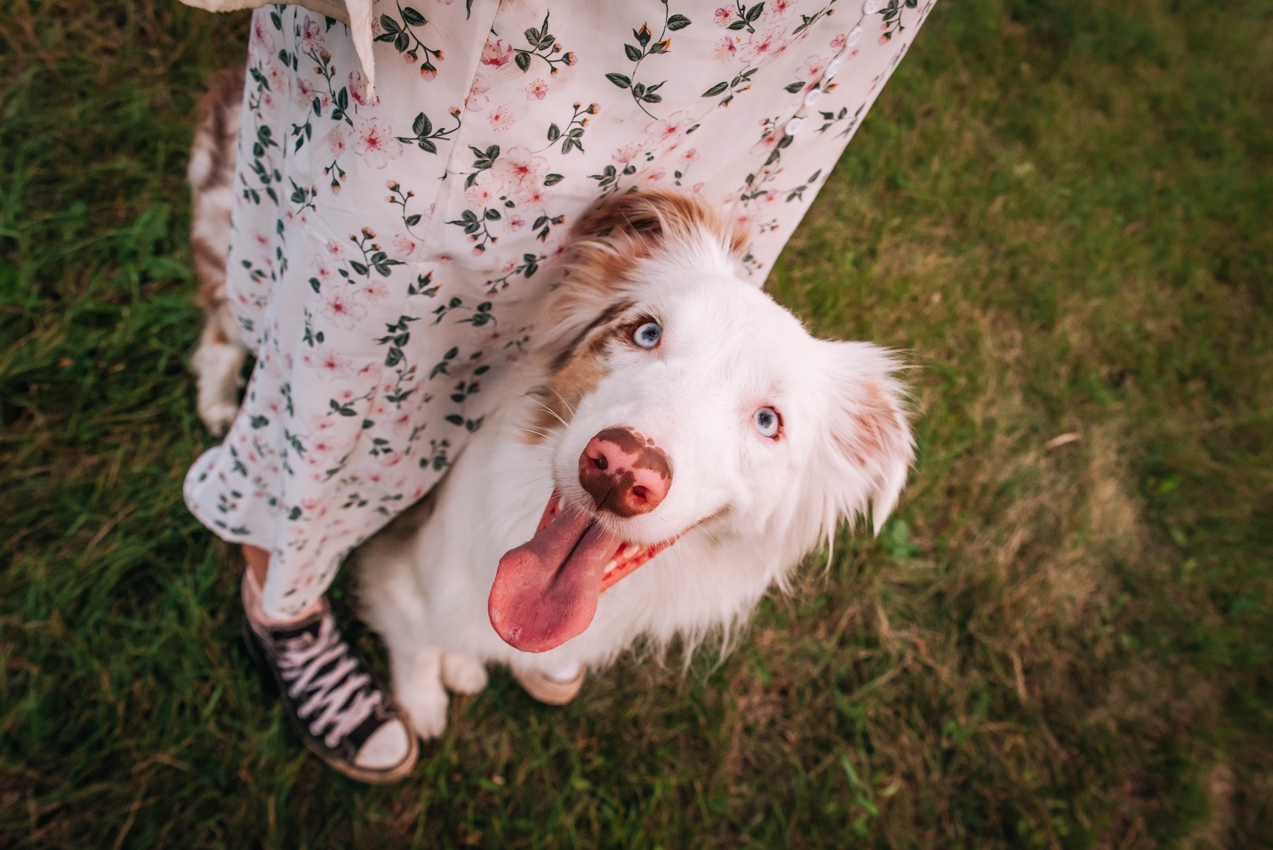 Лиза и Айви. Главная