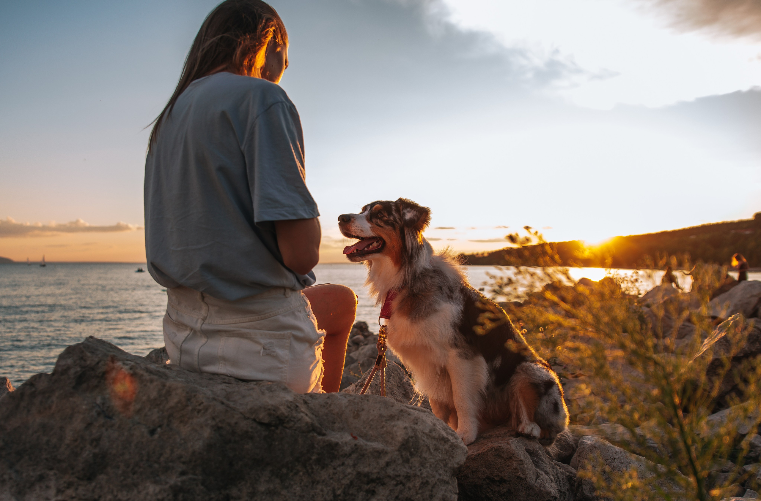 No Bad Days. Главная
