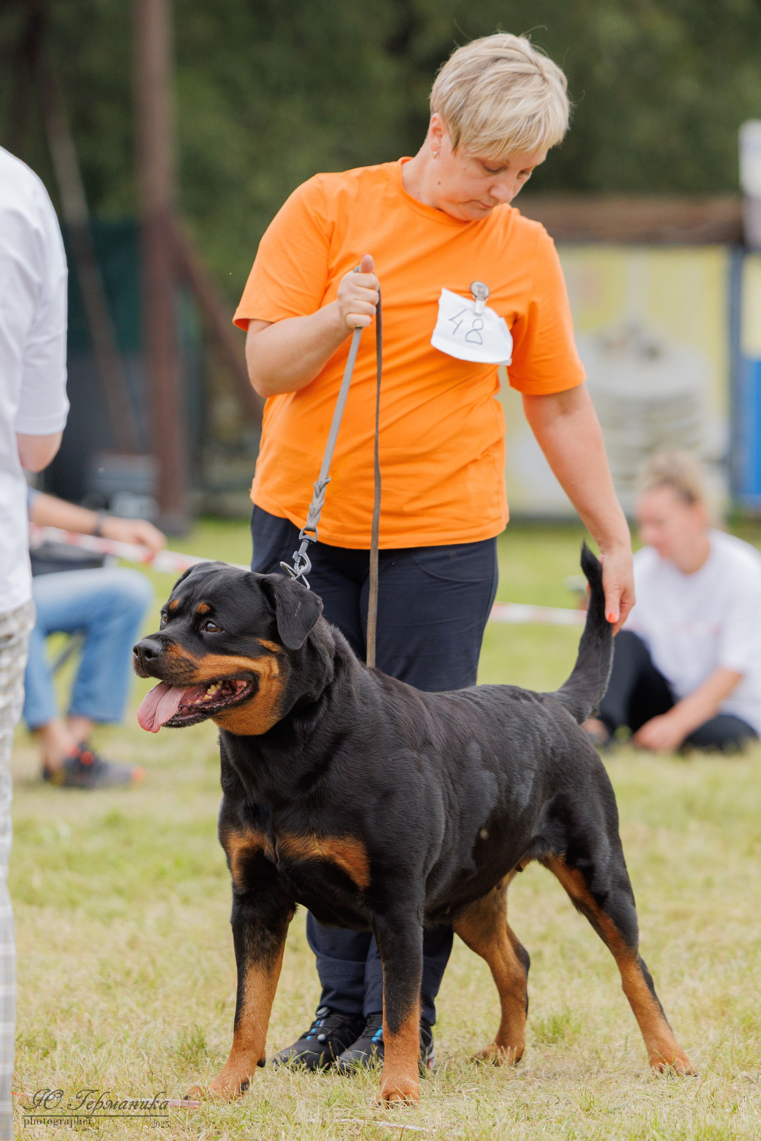 Рязань 2хмоно ротвейлеры 16-17.08.2025. Фотограф-анималист Юлия Германика