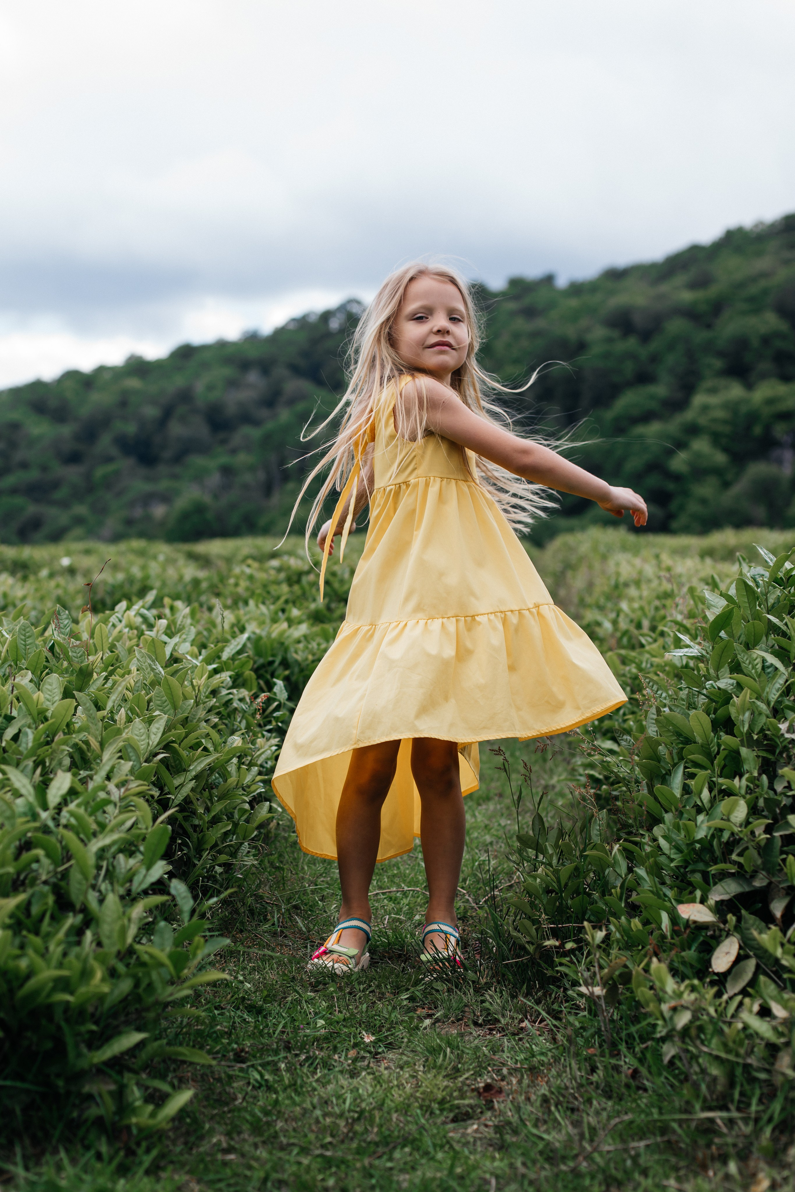 Tea plantation. Efimova Model Agency