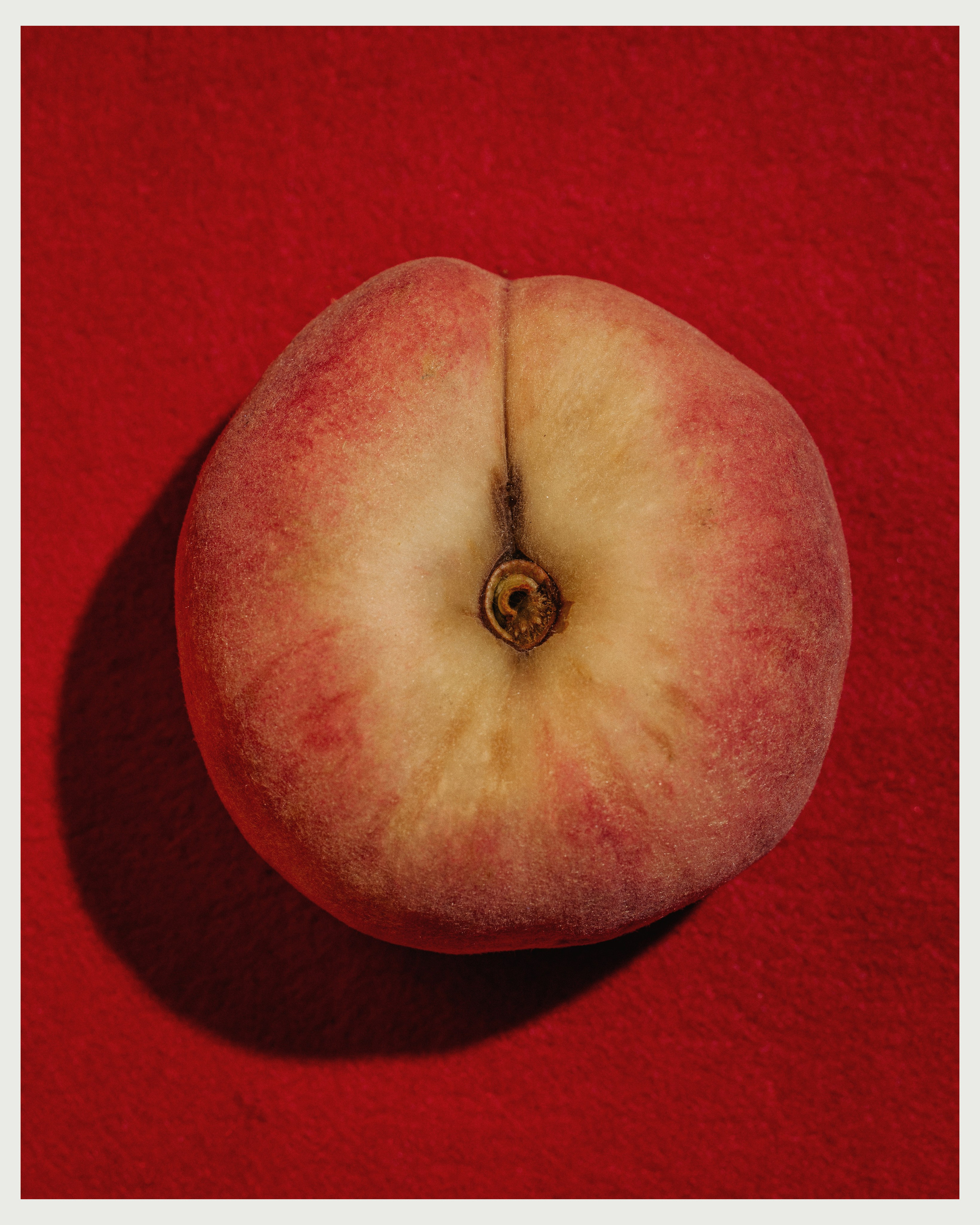 OM x VANO. Ivan Petrov photographer