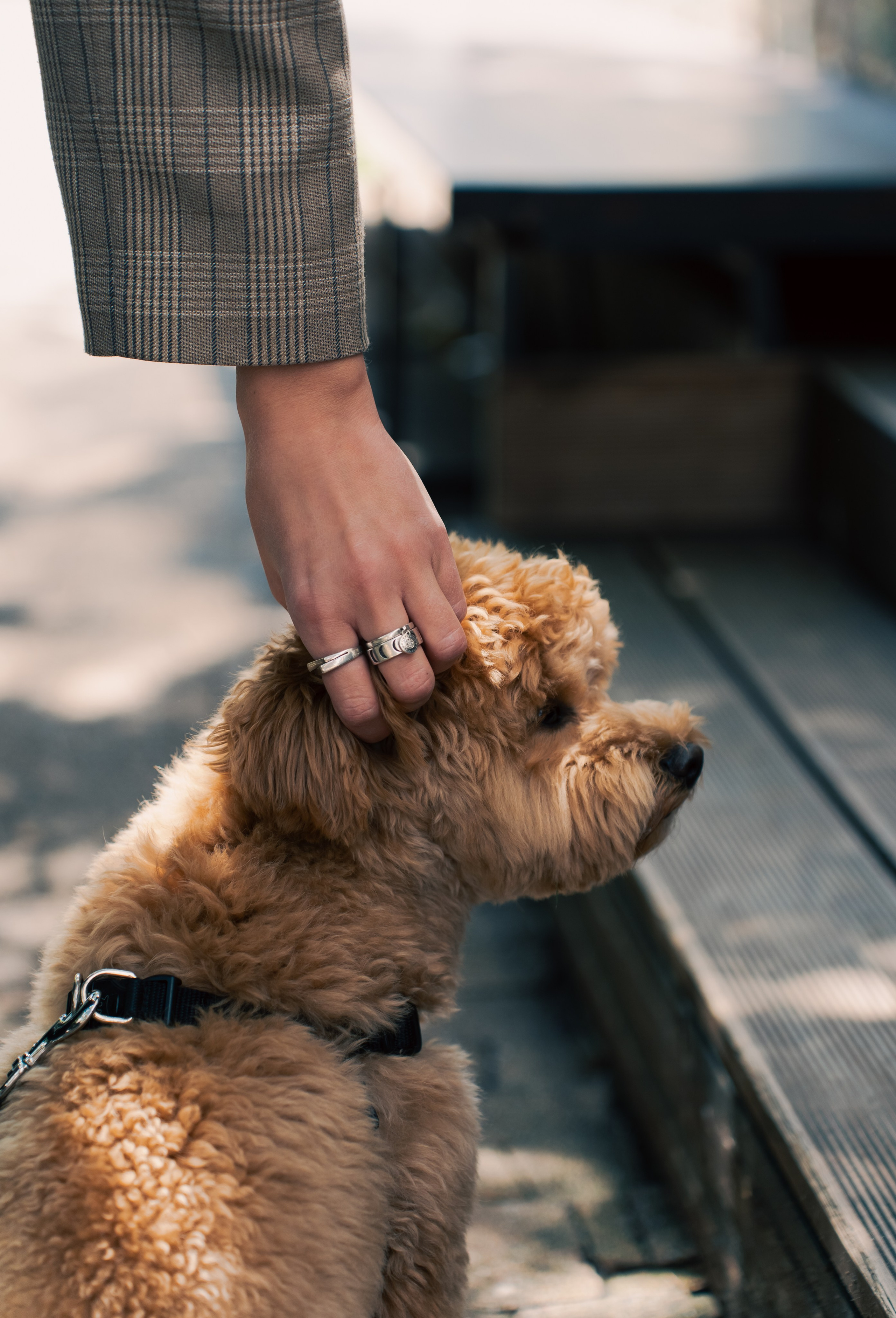 Прогулочная фотосессия с Аней в Сочи. Фотограф из Екатеринбурга Алена Мусалимова