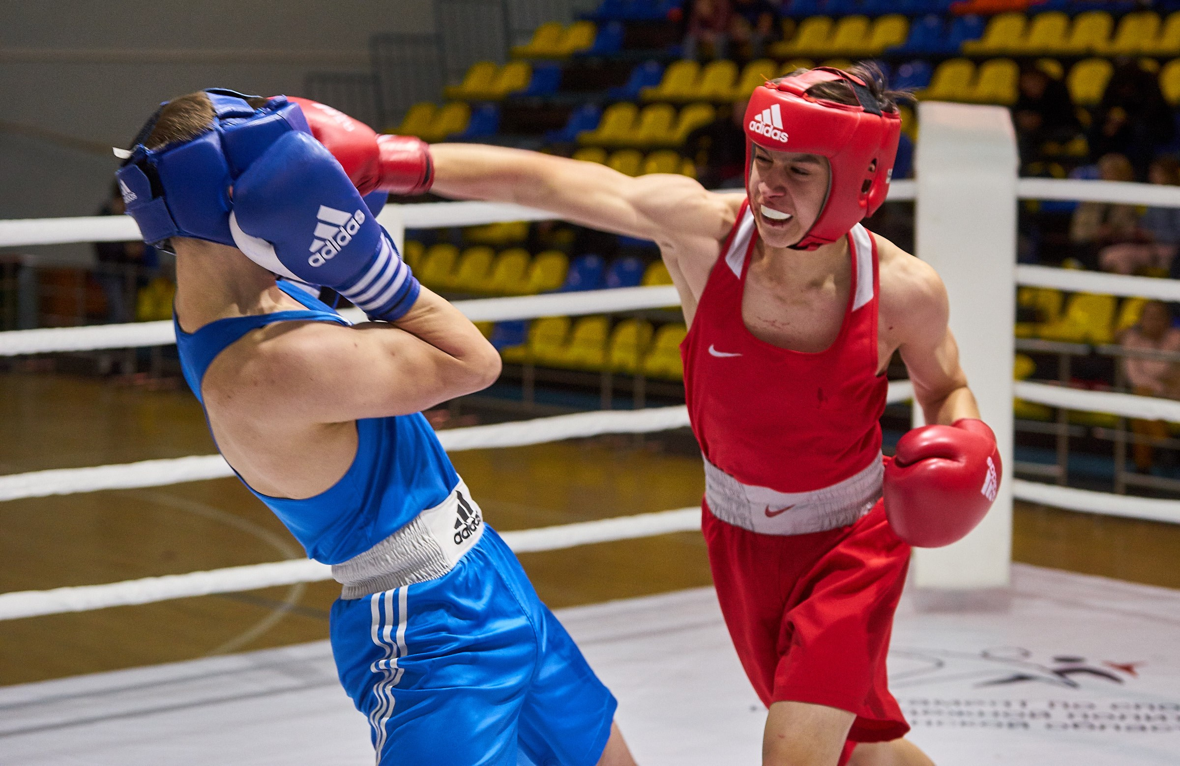 Соревнования по боксу 2017 г. Тюмень. Фотограф Станислав Баев