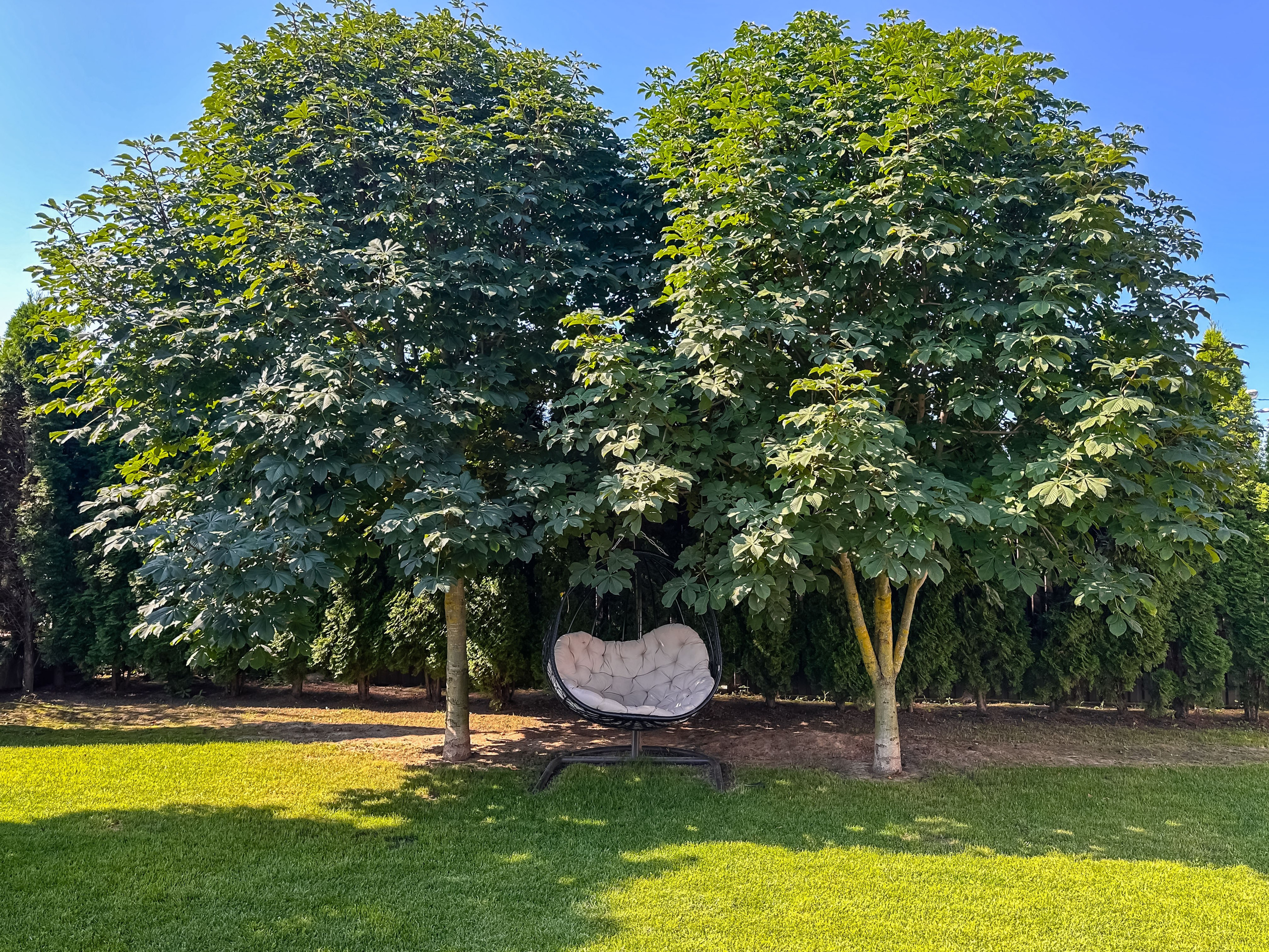 Питомник для ваших любимых питомцев. Строительная компания «Милый дом» МД. Москва и Московская область