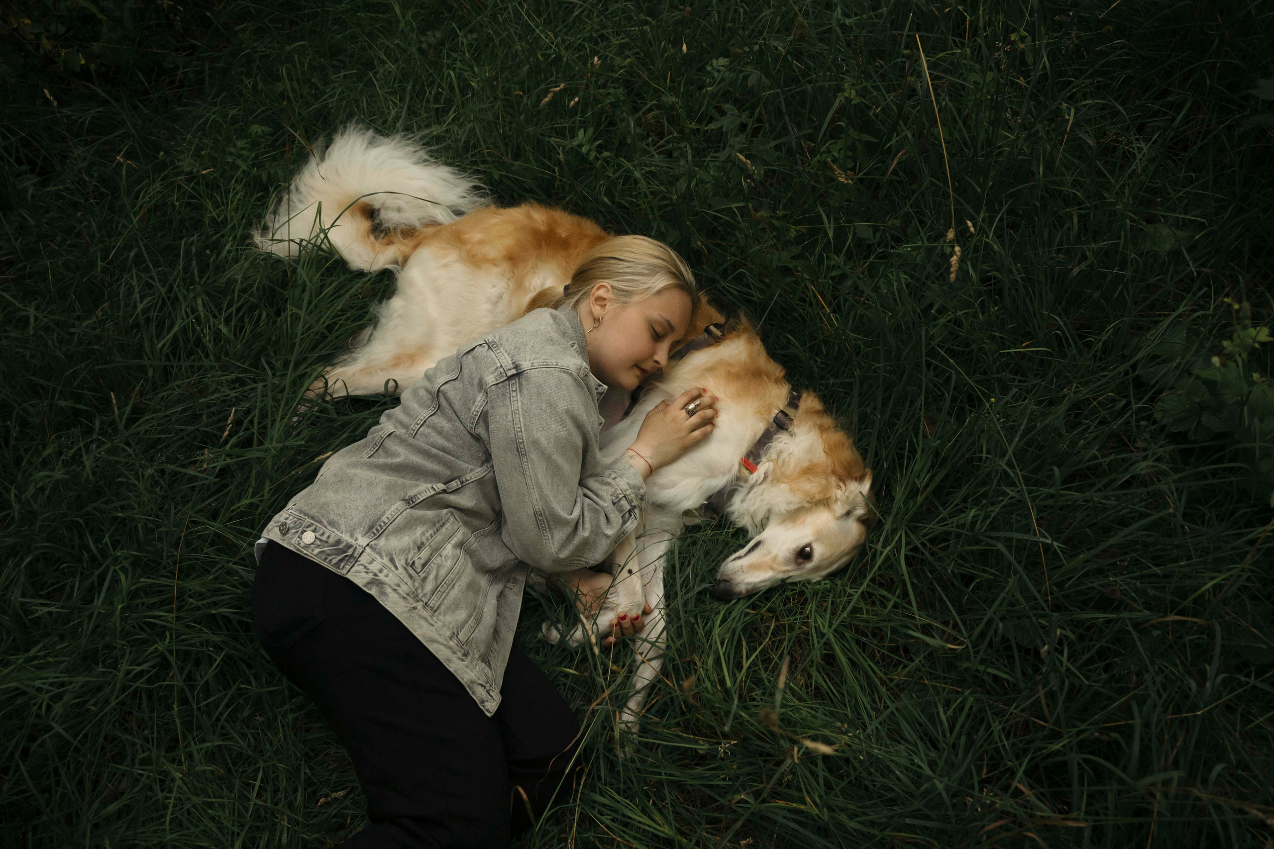 Тайга. Фотограф- анималист Александра Матвеева