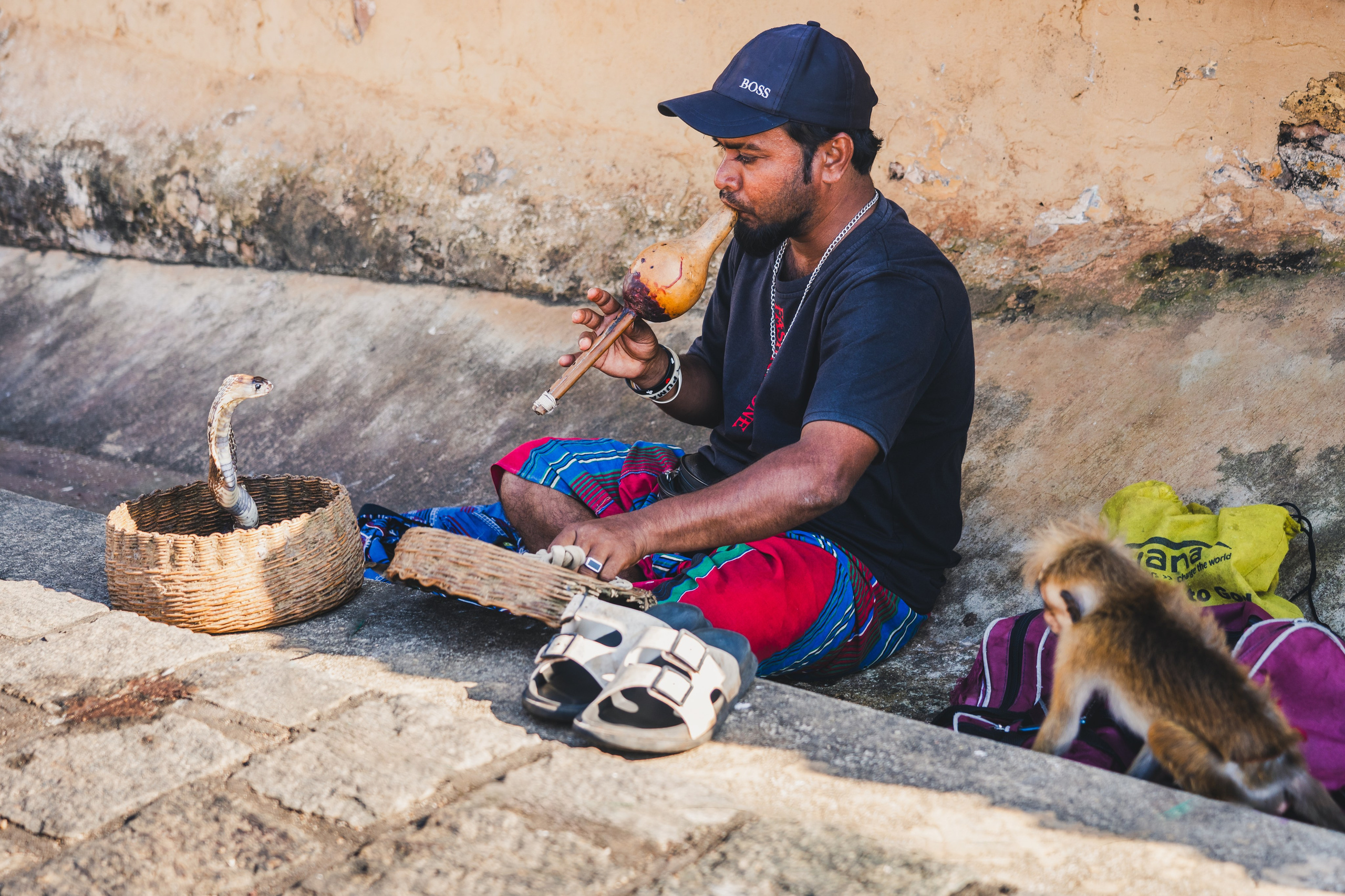Шри-Ланка 2025. Легкая фотография