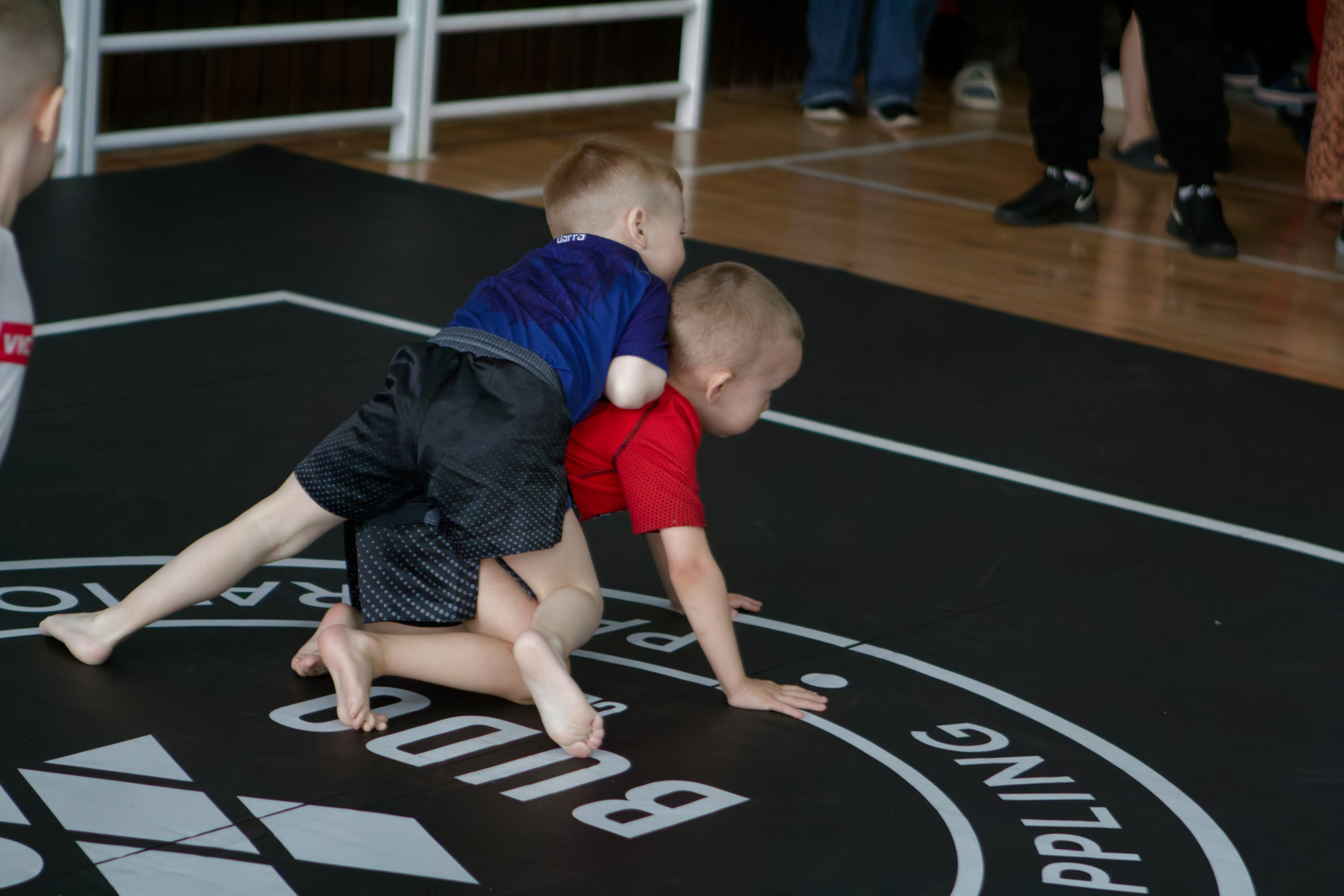 Борьба. Джиу-джитсу 26.04.2025. Репортажный и спортивный фотограф в г. Пермь Зильберг Павел