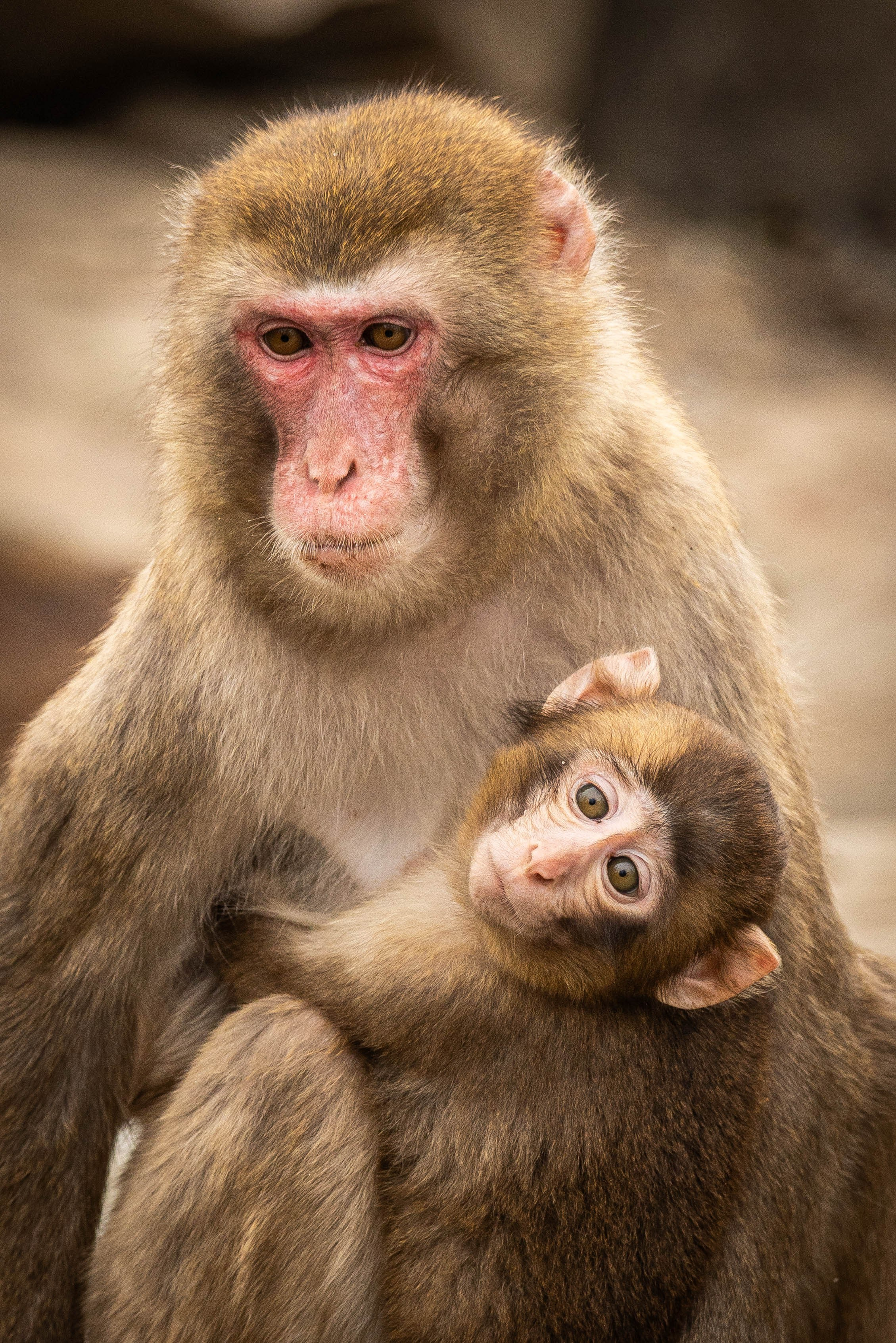 Парк Малинки 2026. Фотограф-АниМалист Анна Абрамова