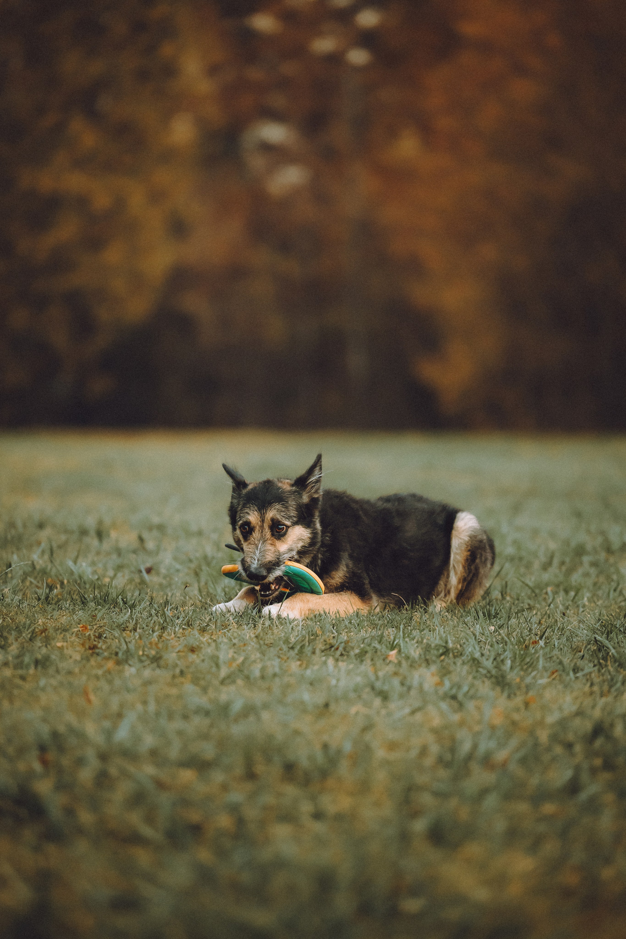 Рик, Джек и их семья