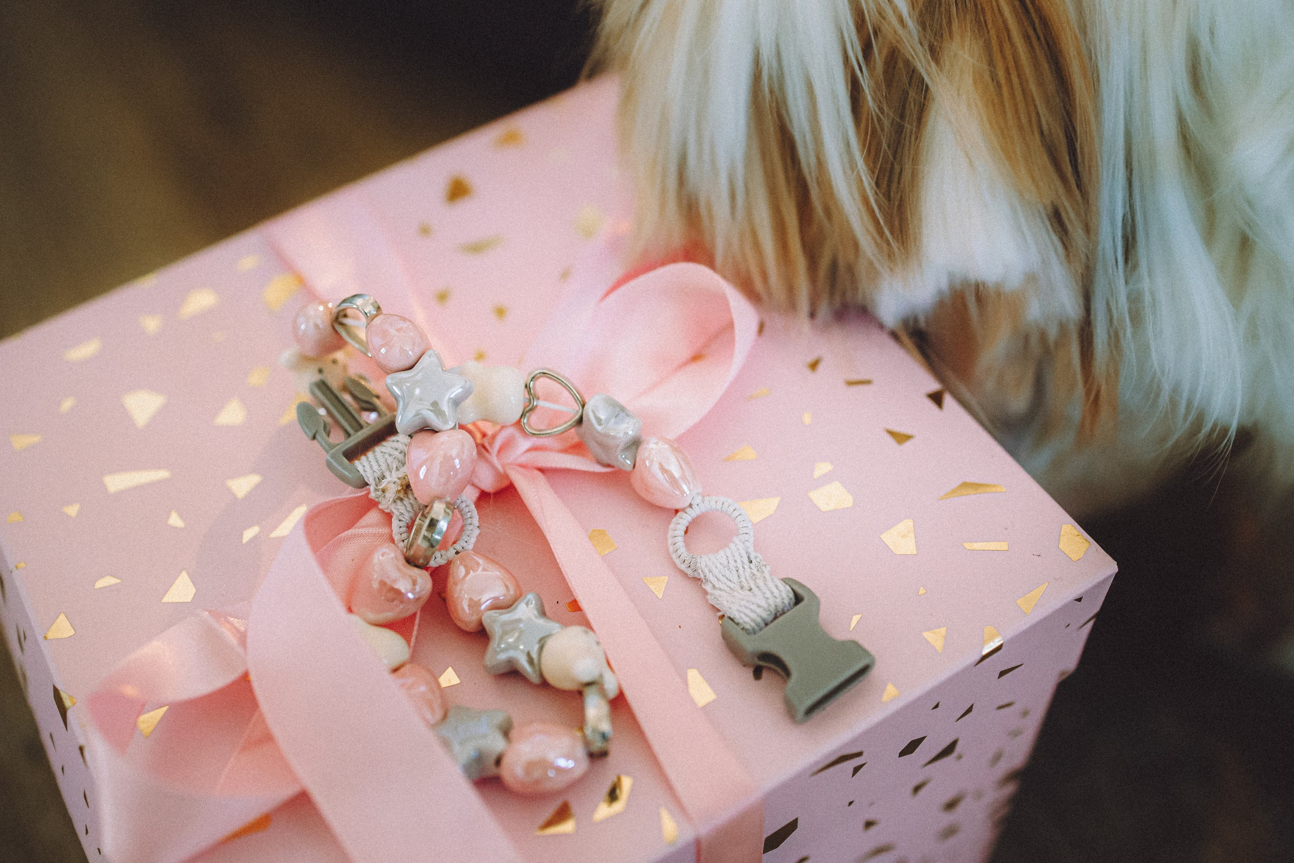 День Рождения Шу