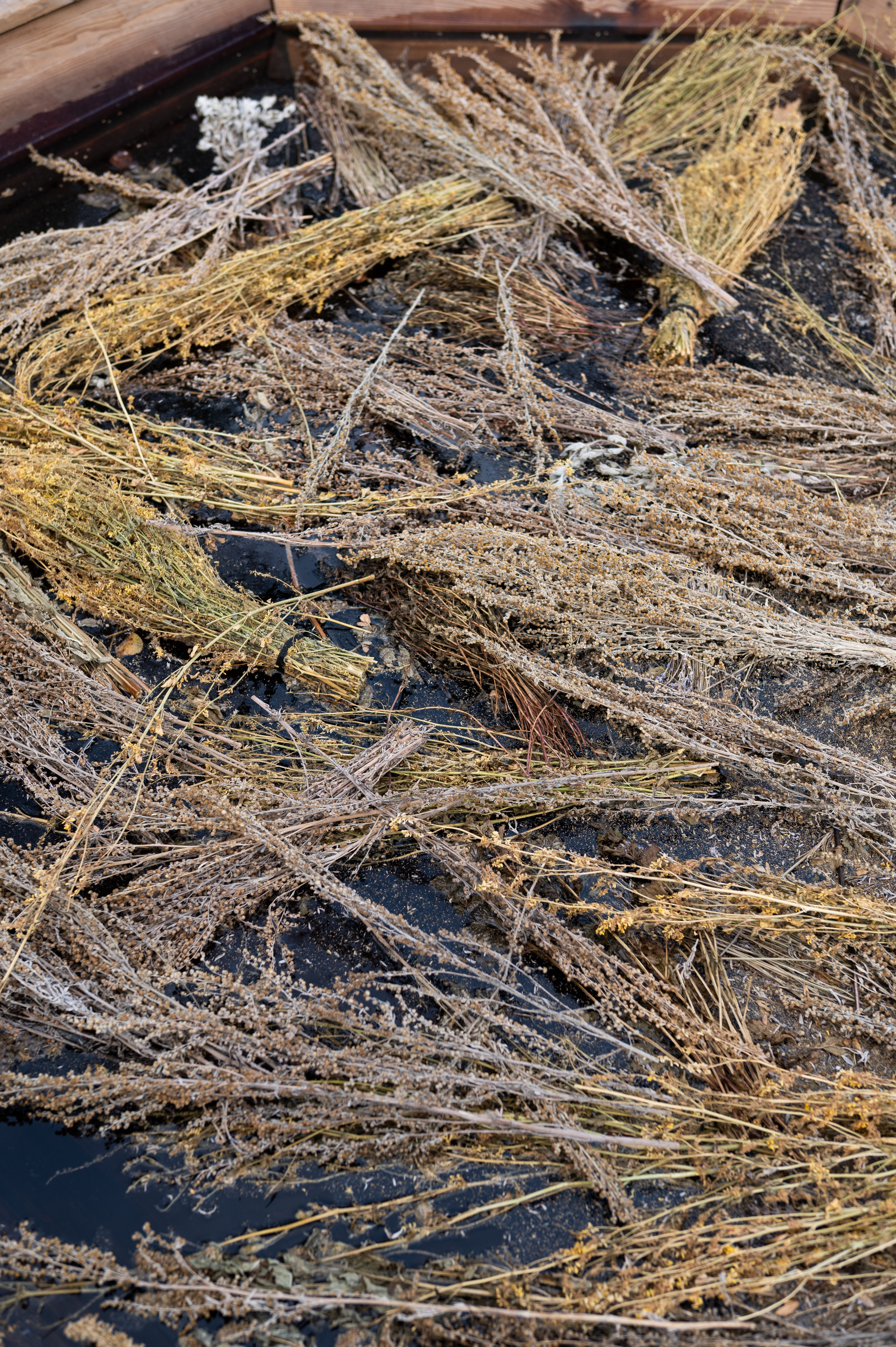 Фотосъемка для банного комплекса. Фотограф Лобанов Антон, г. Москва